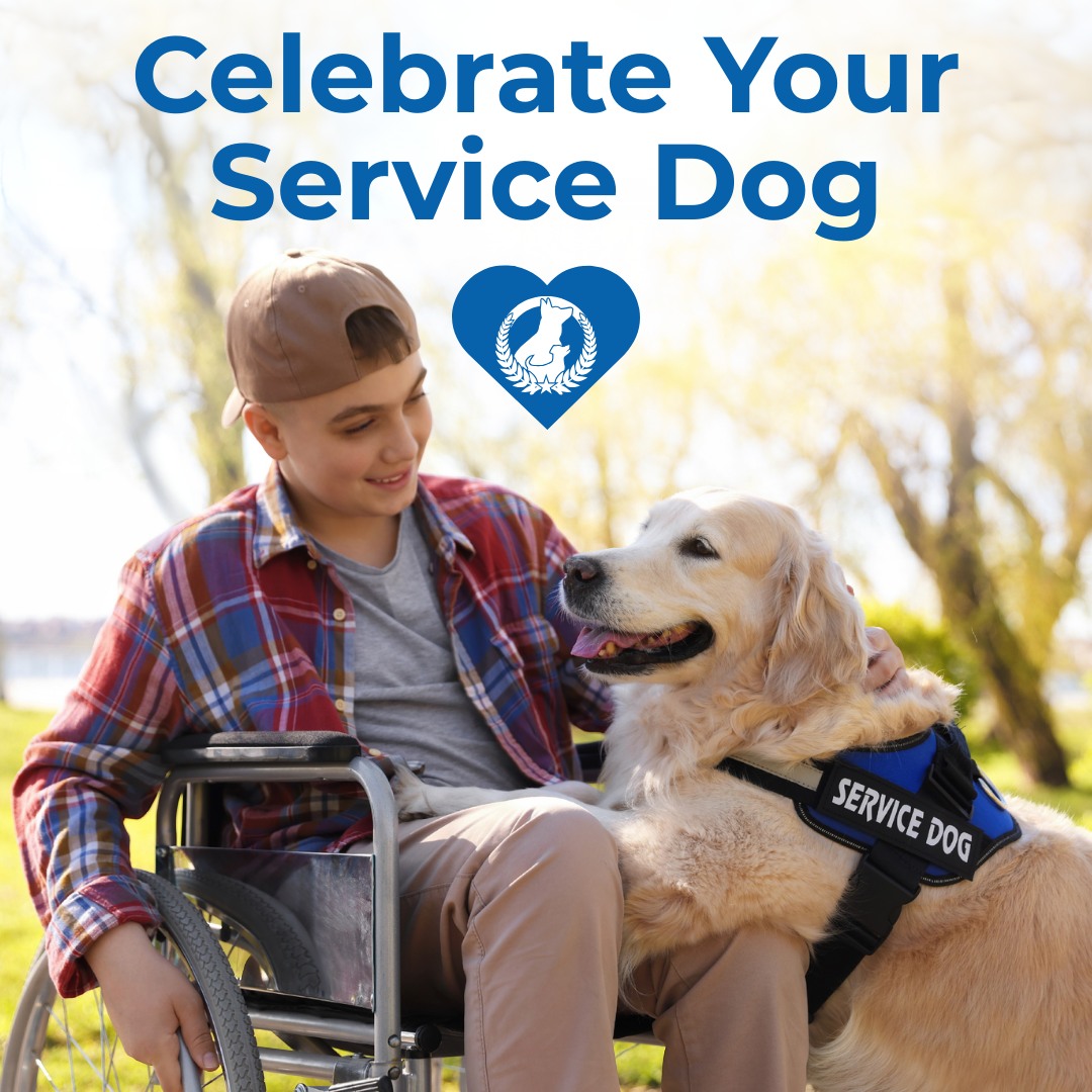 September is National Service Dog Month 🐾

We're proud to celebrate the important role service dogs play in helping their handlers feel safe, confident, and supported.

Dog Training Elite Asheville has decades of experience training service dogs to perform all sorts of essential tasks. Our programs help individuals live more independently with their well-trained companions.

If you or a loved one could benefit from a service dog, visit https://dogtrainingelite.com/asheville to schedule your free consultation!

