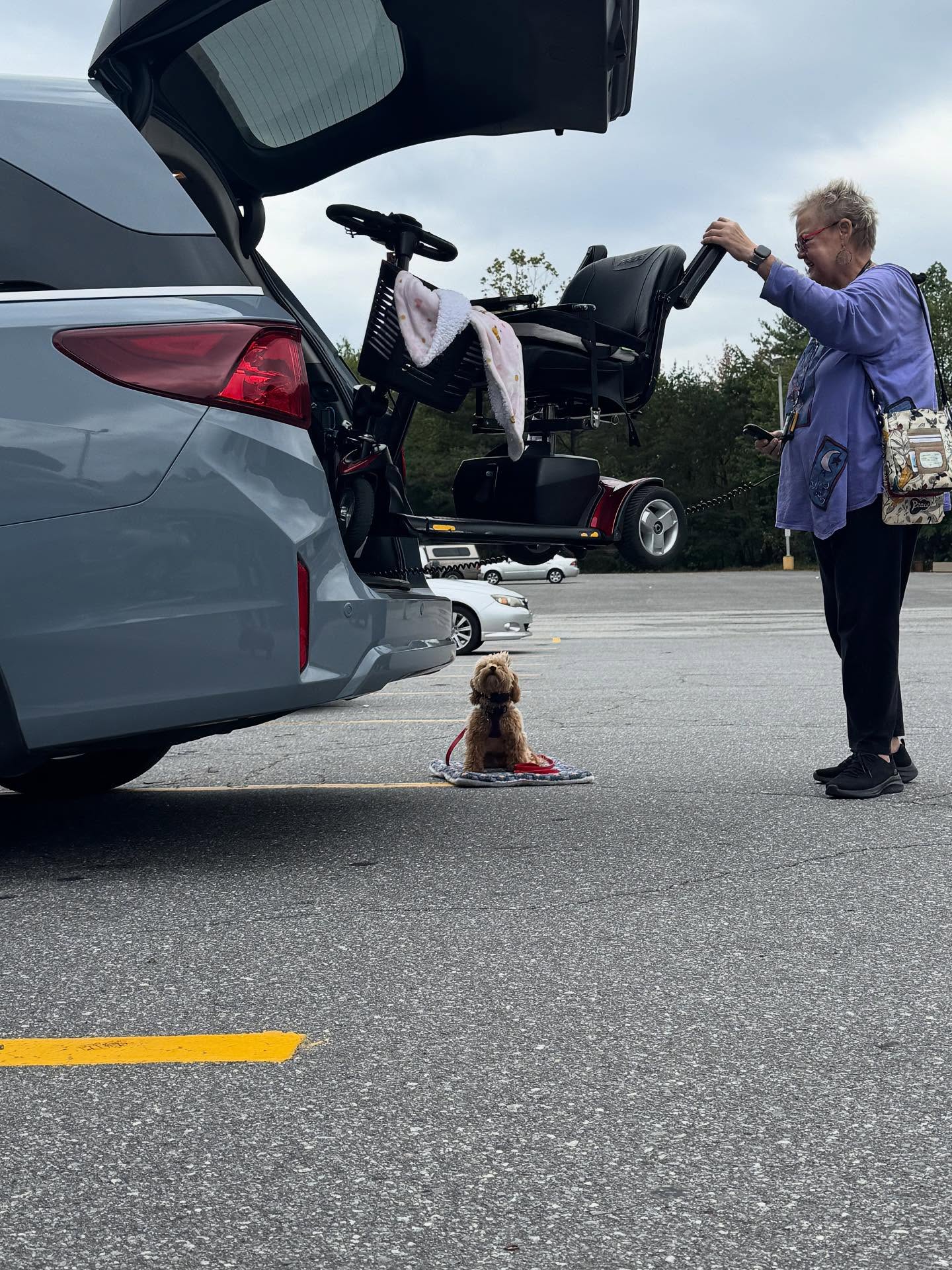 Charlee is such a great pup.  She’s doing her public access training and is super patient when mom is loading and unloading the scooter.



🐕‍ 

