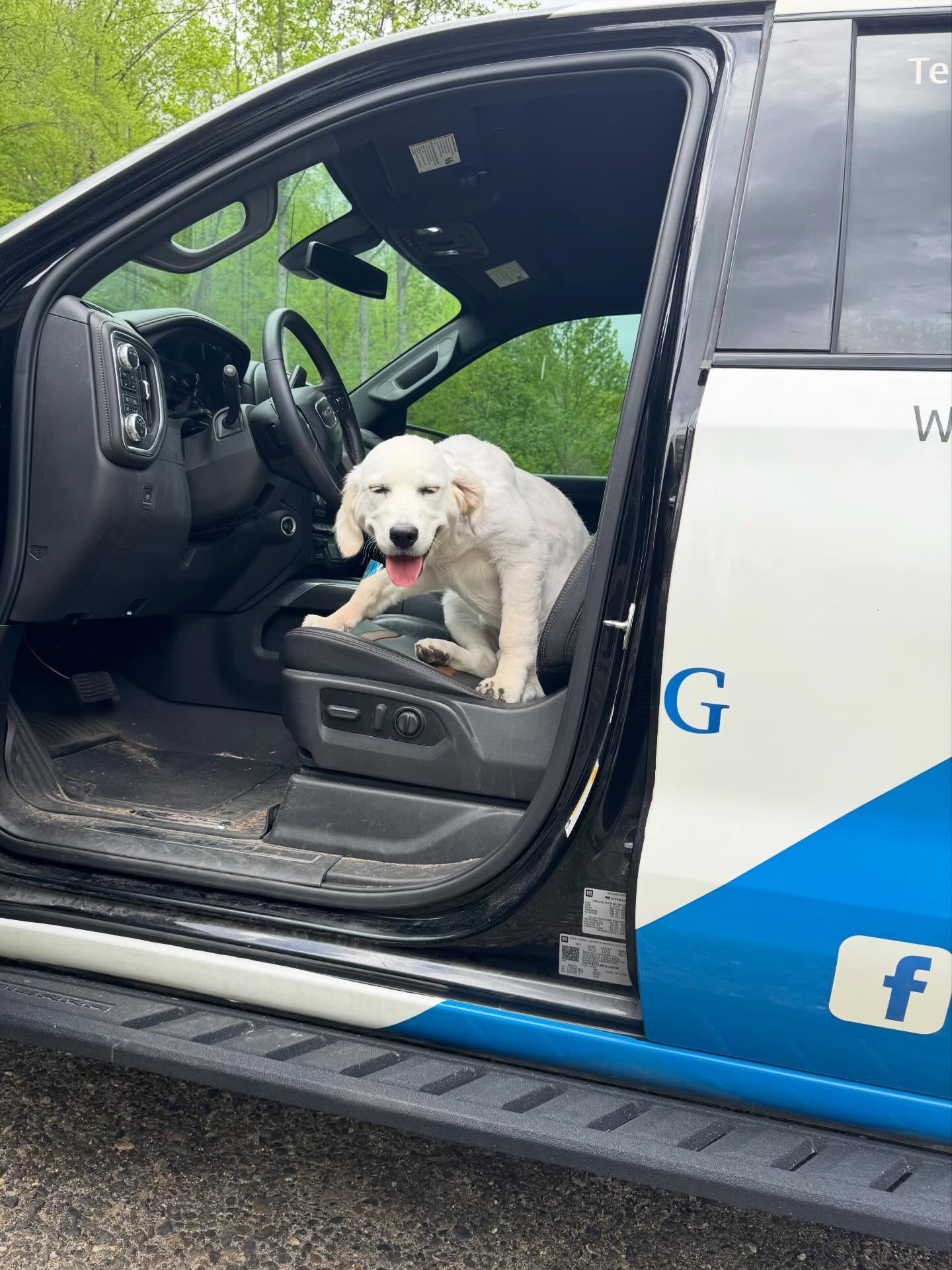 Belle enjoyed training so much that she didn&rsquo;t want me to leave.



