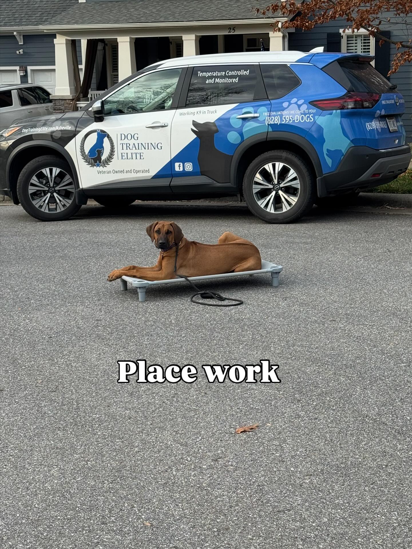 Kaya picked up the place concept quickly today. She&rsquo;s been a superstar throughout her training.





