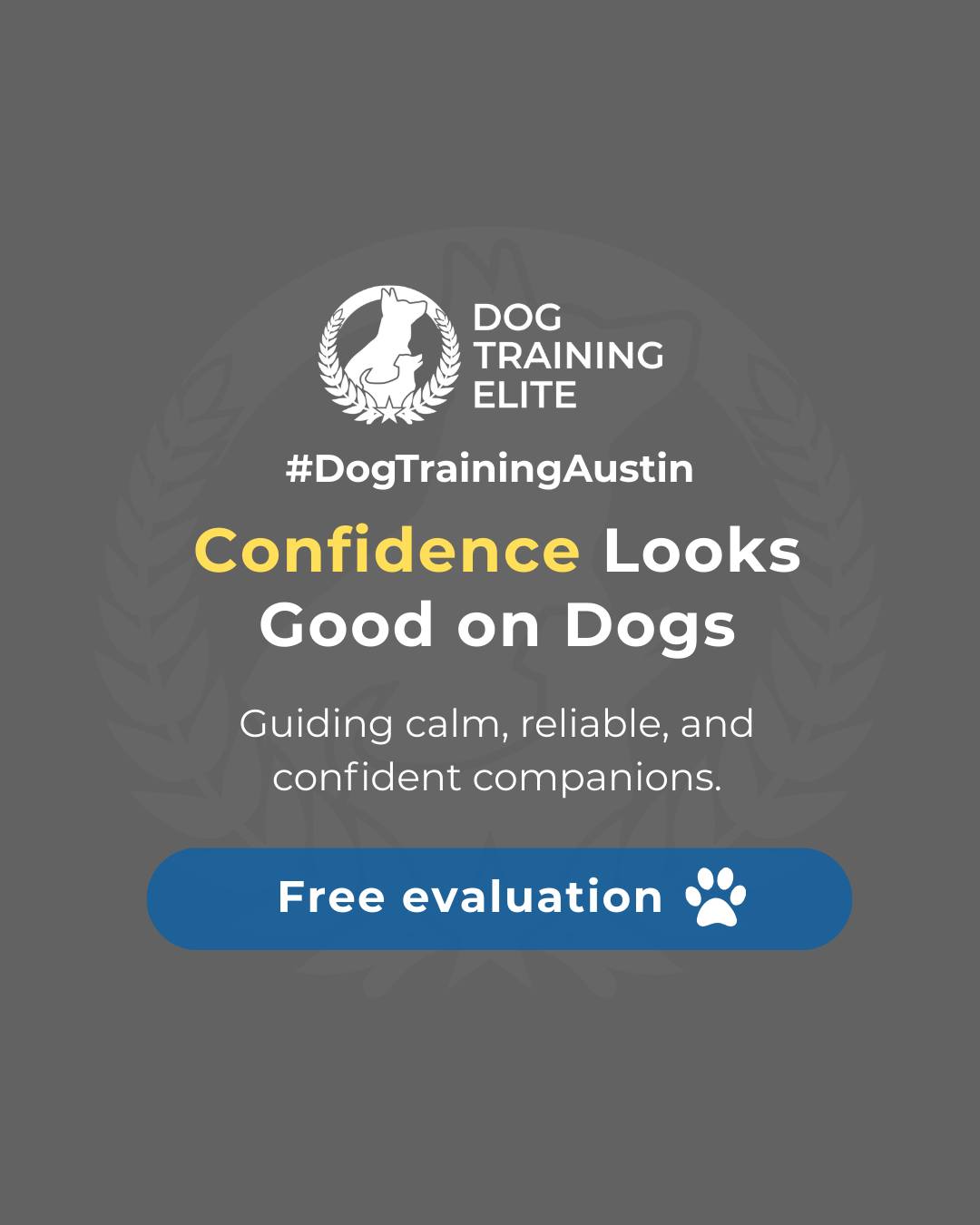 Did you know confident dogs are more focused, calm, and easier to manage at home and in public? Teaching your dog structure, consistency, and clear communication helps them feel secure and reliable in any situation.

How does your dog show confidence? Share your stories below! 🐾

Make better behavior your first win of the year. Book your free in-home evaluation and see why Austin and Round Rock dog owners choose Dog Training Elite for real, lasting results.
 📍 https://maps.app.goo.gl/mzC5PCNAg2Btm23J9


