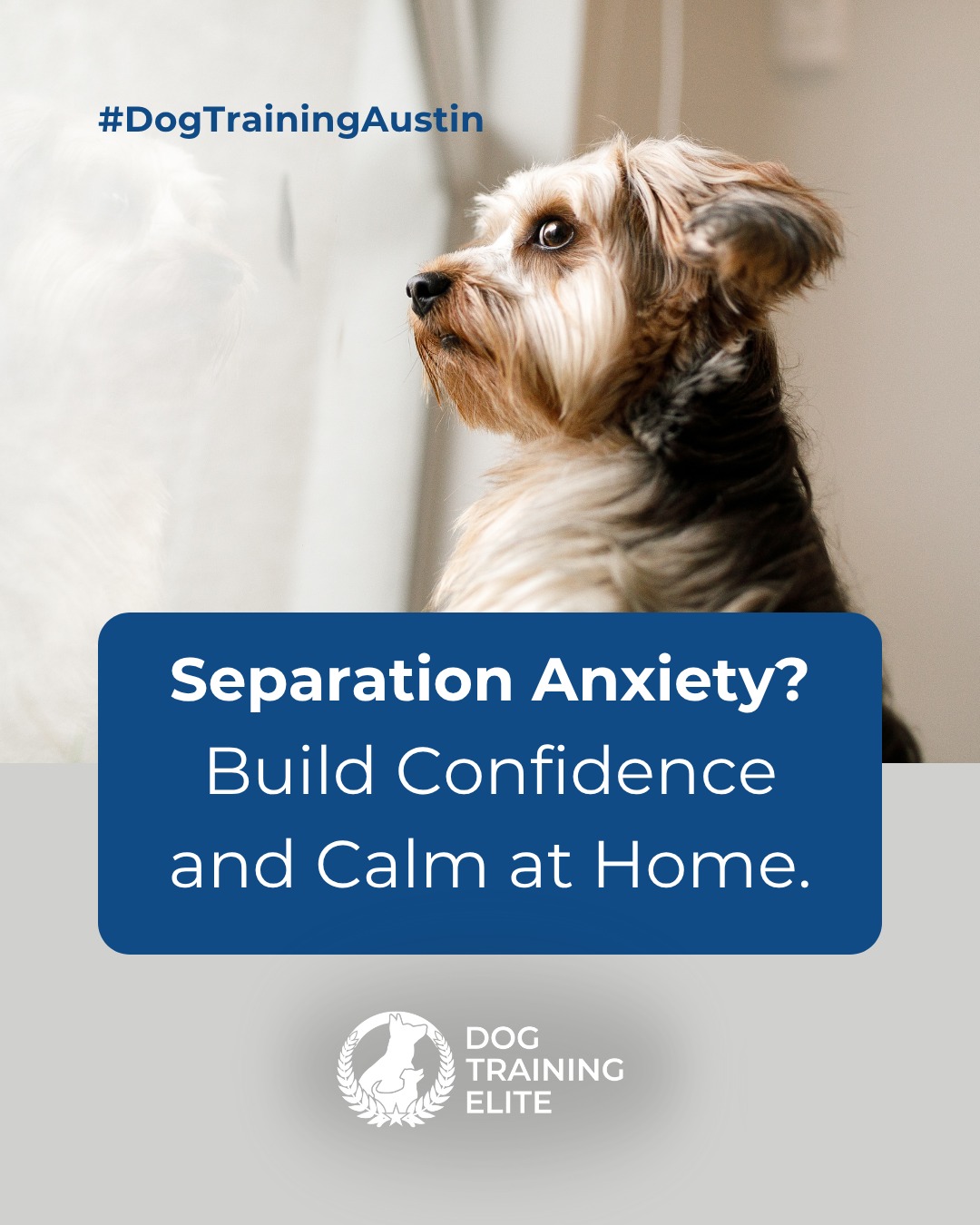 Does your dog panic the moment you grab your keys?

Dog Training Elite Austin offers expert separation anxiety training that teaches dogs to stay calm and confident when you’re away. Our approach blends structured routines, behavior modification, and practical tools for home use.

From interactive toys to step-by-step alone-time practice, your dog will learn that being alone doesn’t have to be stressful. Because a peaceful pup means no more tiptoeing out the door. 🚪🐾

 📅 Ready to fall in love with a well-behaved pup? Schedule your free in-home evaluation and discover why neighbors across Austin, Round Rock and Cedar Park rely on Dog Training Elite. 🐶
 📍 https://maps.app.goo.gl/mzC5PCNAg2Btm23J9


