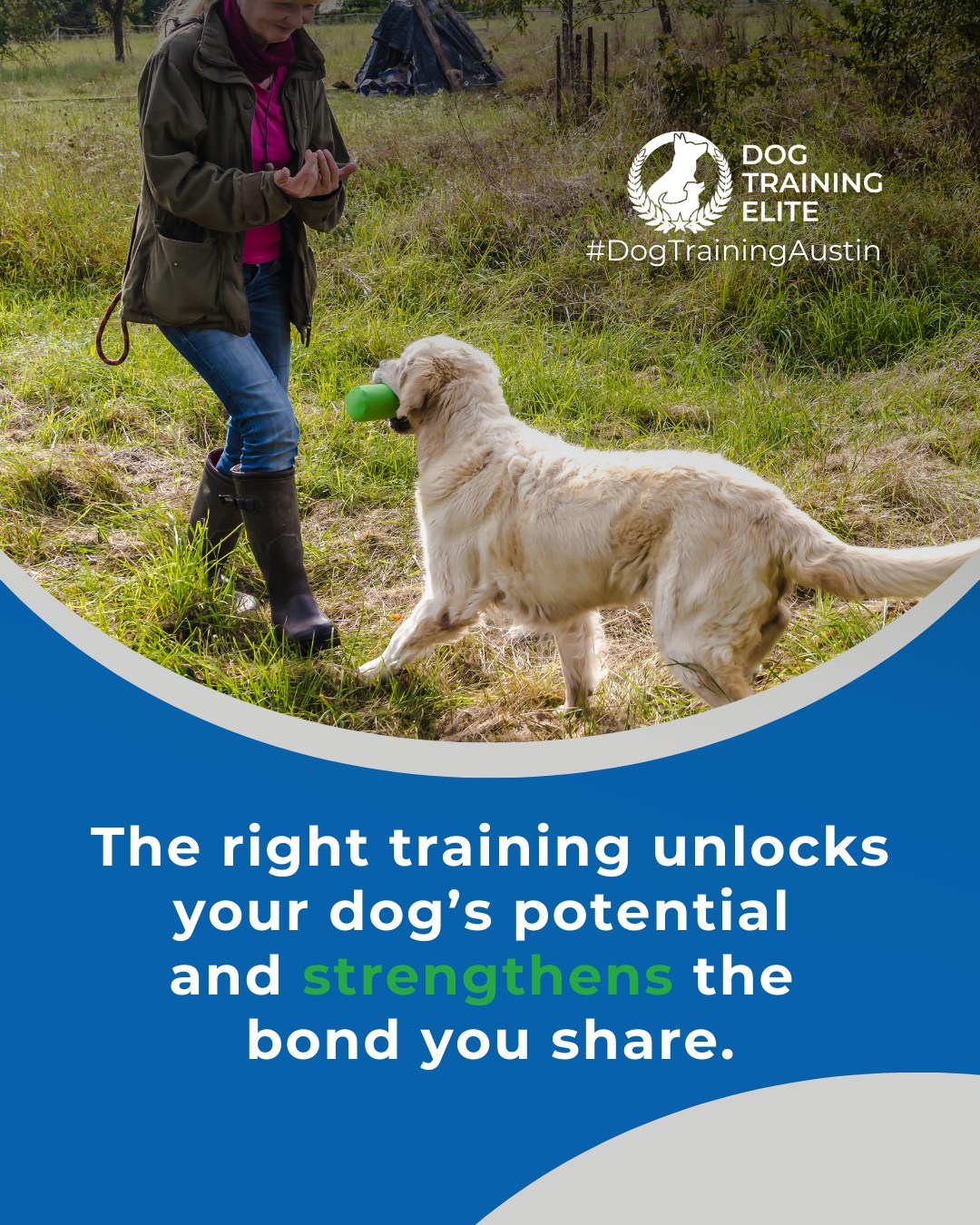 Choosing the right training program doesn&rsquo;t have to be confusing. Obedience, service, therapy, each has its purpose, and we help you find the perfect fit for your dog&rsquo;s needs and your goals. 

At Dog Training Elite Austin, clarity and guidance make all the difference. Ask us anything! 💬

🐾 Make better behavior your first win of the year. Book your free in-home evaluation and see why Austin and Round Rock dog owners choose Dog Training Elite for real, lasting results.
 📍 https://maps.app.goo.gl/mzC5PCNAg2Btm23J9



