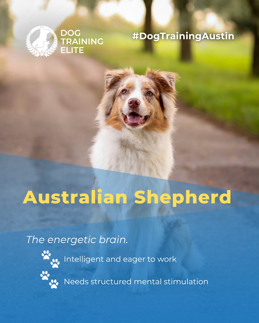 Does your dog panic the moment you grab your keys?

Dog Training Elite Austin offers expert separation anxiety training that teaches dogs to stay calm and confident when you’re away. Our approach blends structured routines, behavior modification, and practical tools for home use.

From interactive toys to step-by-step alone-time practice, your dog will learn that being alone doesn’t have to be stressful. Because a peaceful pup means no more tiptoeing out the door. 🚪🐾

 📅 Ready to fall in love with a well-behaved pup? Schedule your free in-home evaluation and discover why neighbors across Austin, Round Rock and Cedar Park rely on Dog Training Elite. 🐶
 📍 https://maps.app.goo.gl/mzC5PCNAg2Btm23J9


