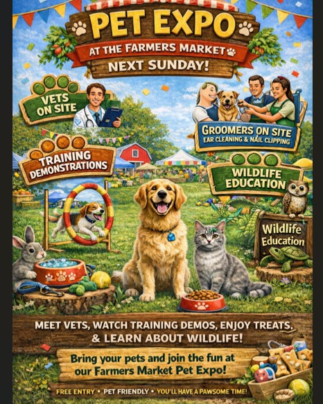 Join us on Sunday with your four-legged best friend :

When : Sunday, March, 8th, from 11 am to 4 pm

Where : Southwest Ranches Farmers' Market - 16290 Griffin Rd, Southwest Ranches, FL 33331

Free Entry with @thecioligroup 

Vendors, wildlife education, vets on site, training demonstrations ....

Come and have fun with us ! 🎉

