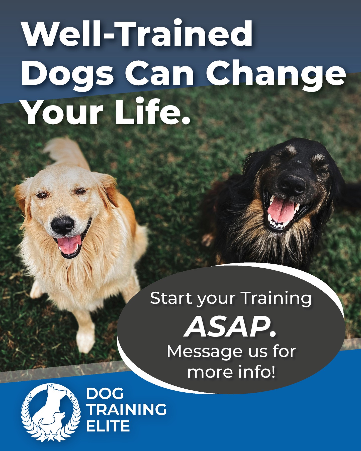 Our best reward is when someone who told us My dog will never dog this ! tells us a few months after I can't believe my dog really does it.

Well-trained Dogs are happy dogs and mean happy owners.

We can help you 😊

-trained 