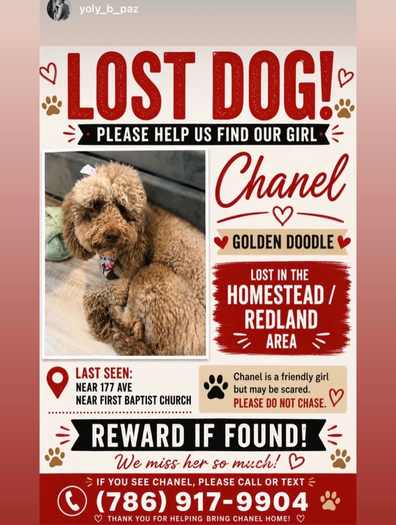 Her owner is desperate. If you see or find Chanel, please keep her safe and call her owner right away !

Don&rsquo;t hesitate to share.

🙏 thank you❤️

