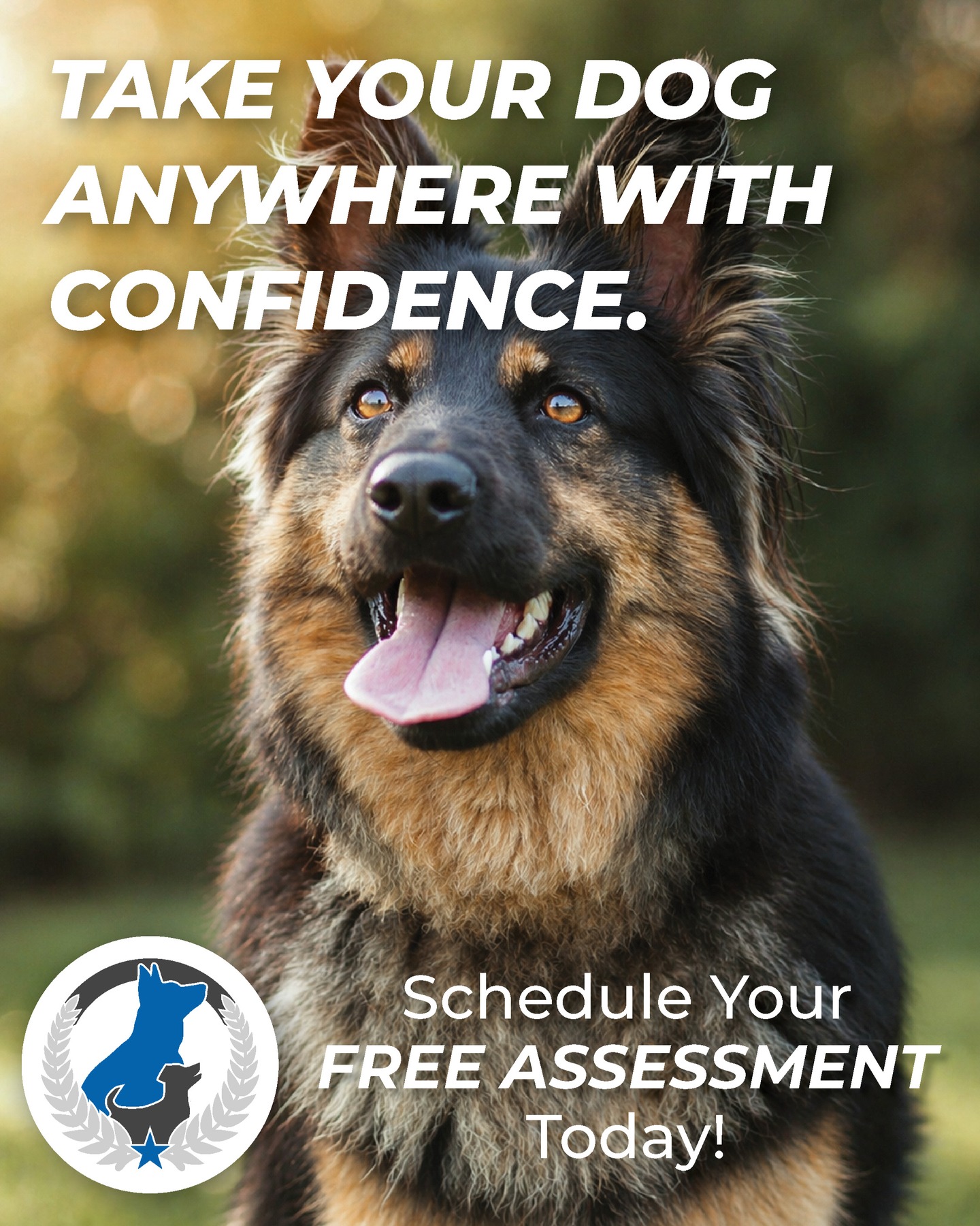 Freedom with your dog comes from an appropriate communication, clear commands and consistency.

When you dog understand and trust you, you can also trust it.

We train dogs everyday so that your dog can go everywhere with you.

