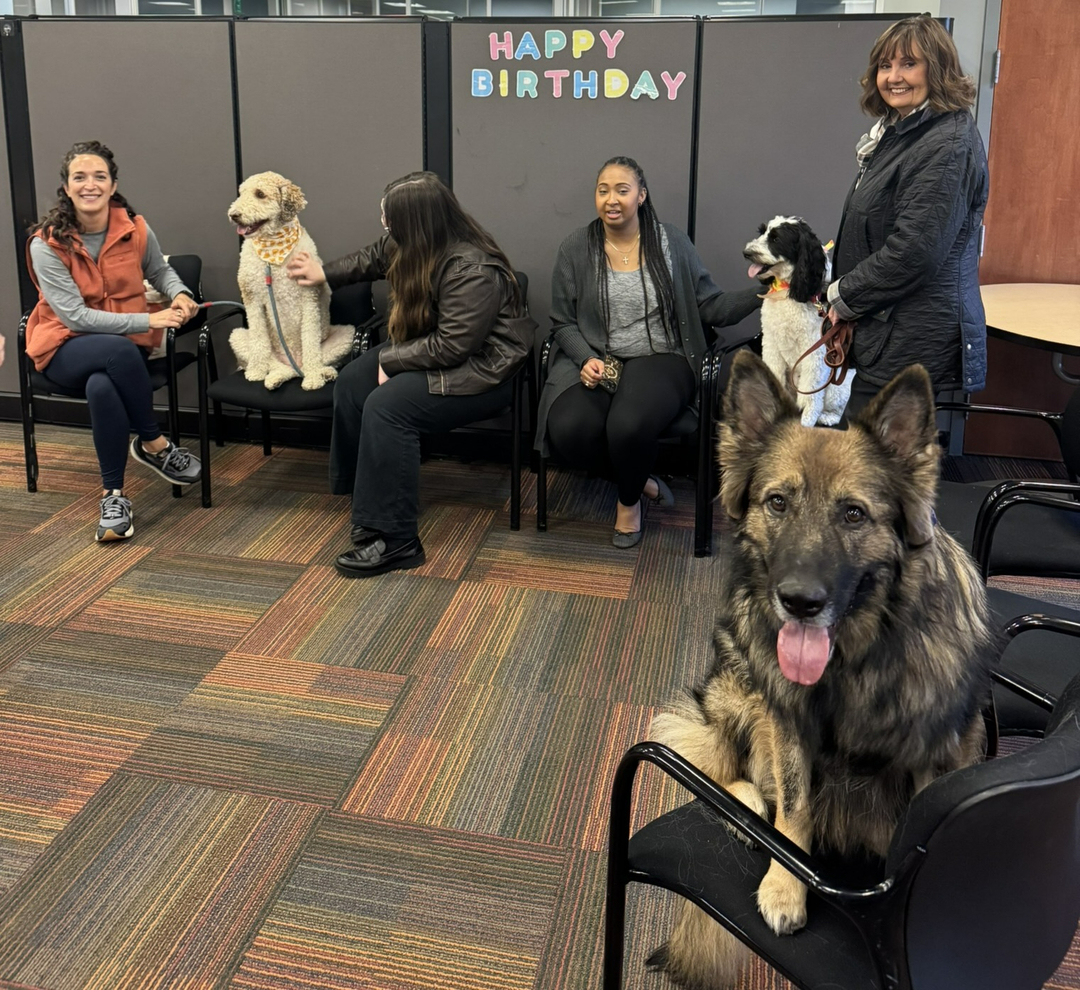 Thank you to MedQuest College in Louisville for inviting us to bring in Therapy dogs to meet with their students and staff. We love watching how dogs can bring so much joy and comfort and peace. Please contact us if your organization would be interested in having our therapy dogs visit you.

http://www.dogtrainingelite.com/lexington