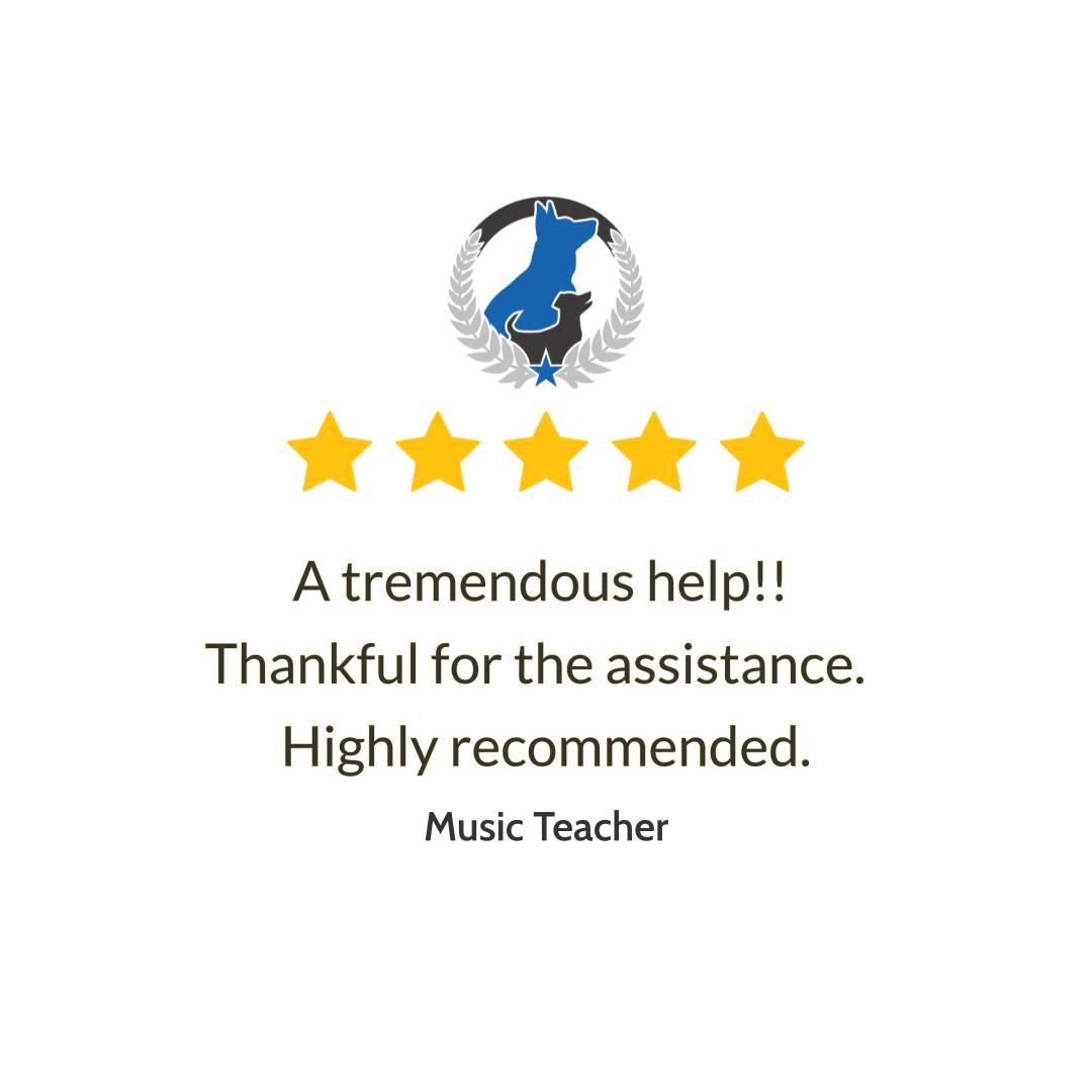 When training finally clicks, everyday life gets so much easier. We&rsquo;re truly thankful for the kind words in this recent review: &ldquo;A tremendous help!! Thankful for the assistance. Highly recommended.&rdquo; At Dog Training Elite Lexington, we focus on clear, simple steps that help your pup listen better at home and out in the real world. If you&rsquo;ve been searching for dog training near me, we offer in-home dog training and private dog training lessons that fit your schedule and your goals. We also welcome families from Lexington, Richmond, and Georgetown who want obedience training for dogs that lasts and feels doable.

Ready to take the next step toward a calmer, more confident pup? Book your free consultation and get started today. http://www.dogtrainingelite.com/lexington