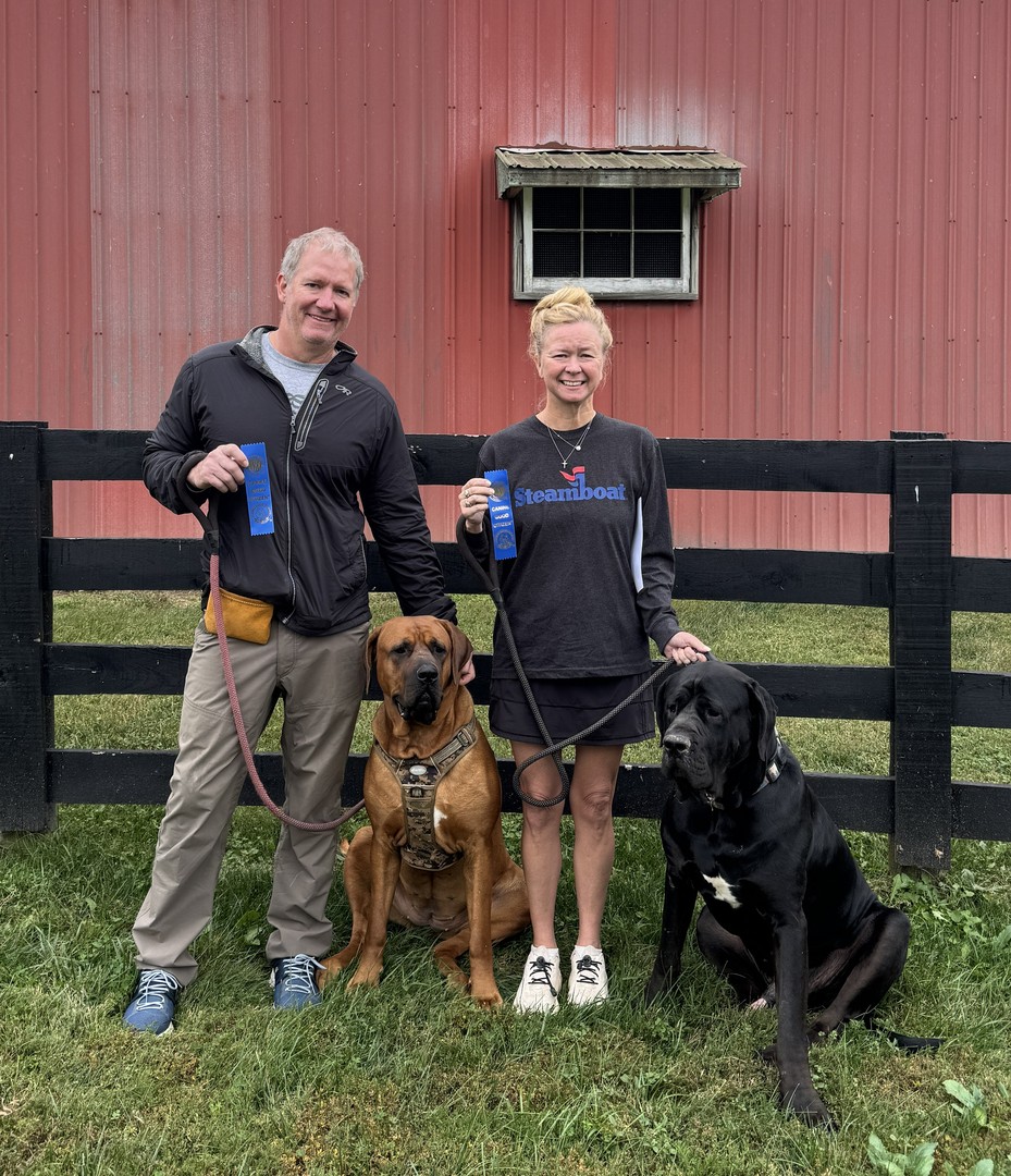 Congratulations are in order! 🎉

Huge shoutout to Liz and Brent and their pups Sasha and Biggie for officially passing the AKC Canine Good Citizen test. This family put the work in, stuck with the plan, and it truly shows in how calm, focused, and well-mannered these two dogs are.

Earning a CGC title doesn't happen overnight. It takes consistency, patience, and the right dog training approach, and Liz and Brent showed up for every step. Sasha and Biggie nailed skills like staying calm around strangers, walking politely on leash, and responding reliably to commands, even with distractions all around.

This is exactly why we love what we do here in Lexington. Whether your pup starts with obedience training for dogs through our private in-home dog training sessions and group dog training classes, our elite dog training programs are built to get real, lasting results like these.

If you've ever wondered what your dog could accomplish with the right plan and support, we'd love to help. Every journey starts with a free in-home assessment for families in Lexington, Richmond, and Georgetown.

Start your dog's success story here: http://www.dogtrainingelite.com/lexington