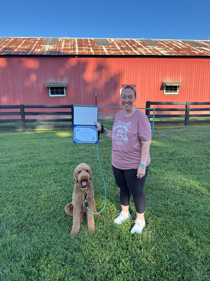 Big congratulations to Ashley and Linus on completing our therapy dog program! 🎉

Watching Linus grow from a playful pup into a calm, certified therapy dog has been such a joy for our team at Dog Training Elite Lexington. Now he's ready to bring comfort and smiles to hospitals, schools, and nursing homes around Lexington. That's what elite dog training is all about: building a strong bond between dog and owner through positive reinforcement and patience.

Therapy dog work takes real dedication, and Ashley put in the effort every step of the way. If you're curious about where training could take your dog, we offer:

&bull; Private dog training lessons and in-home dog training tailored to your goals 🏡
&bull; Group dog training classes for social skills and confidence 🐾
&bull; Service dog training for specialized, life-changing support ⭐

Families across Lexington, Richmond, and Georgetown start with a free in-home assessment, so we can meet your dog and map out the right program together. Whether you're dreaming of therapy visits or just better manners on walks, we'd love to help.

Ready to write your own success story? Schedule your free consultation here: http://www.dogtrainingelite.com/lexington