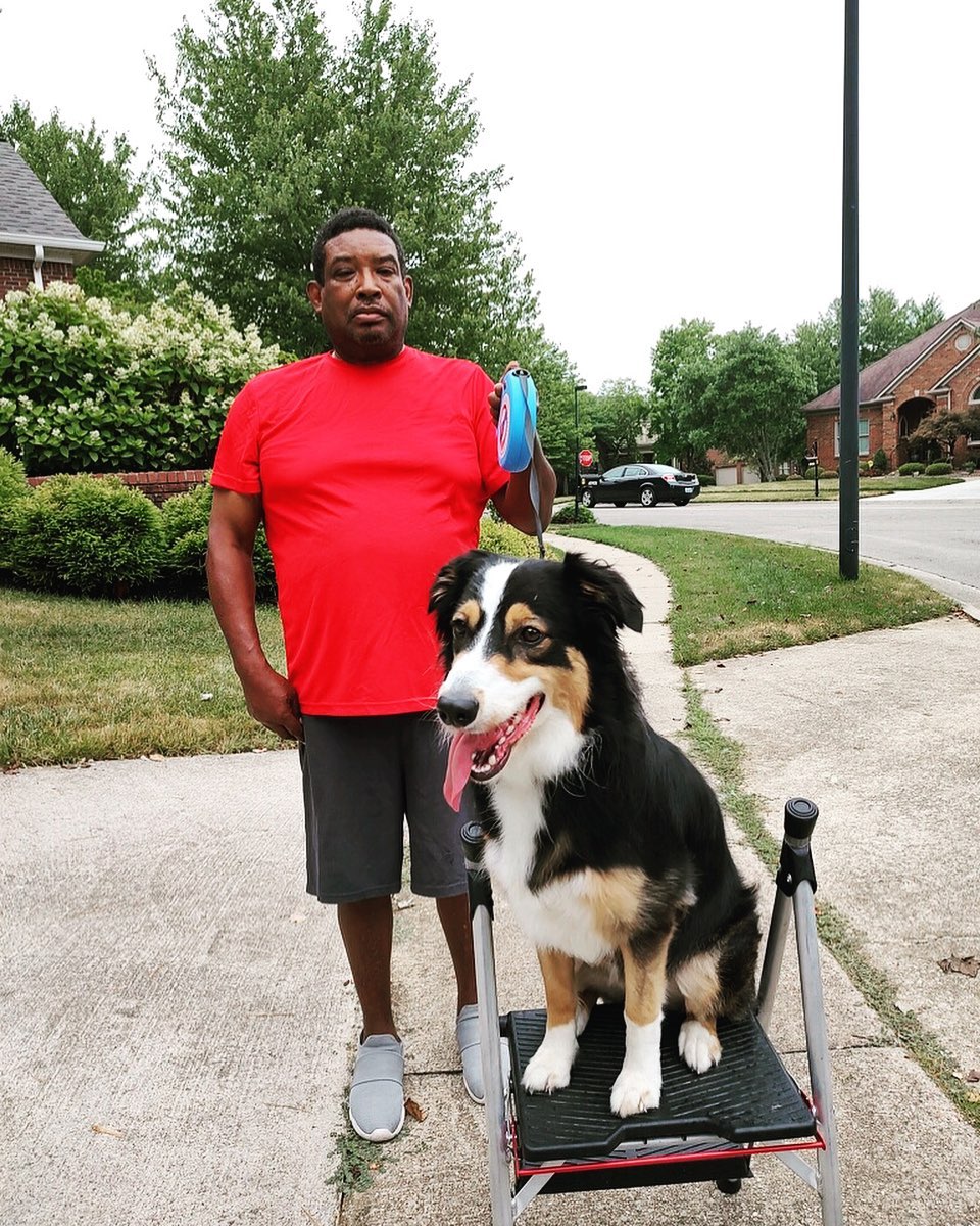 Meet Juno, and her proud owner Lee! This girl is excelling in our Gold Package doing great in every session! We are so proud of her & glad to add her to the fam🐾