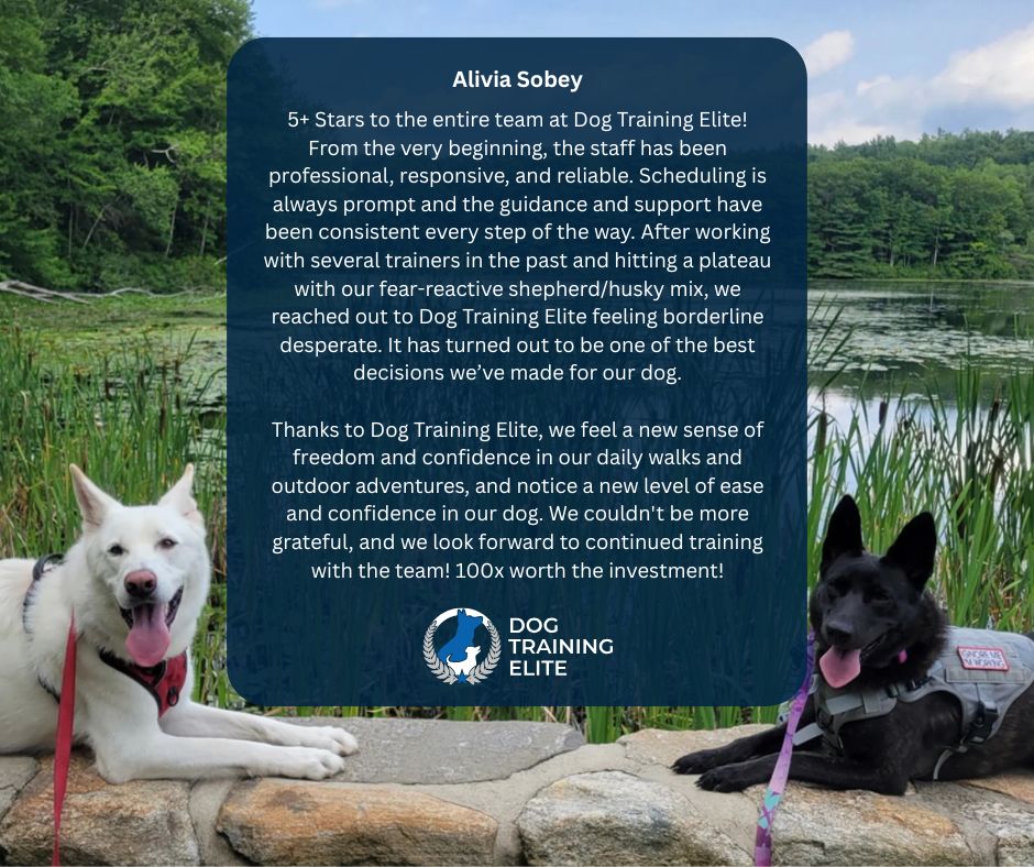 Struggling with reactivity? You’re not alone. 🐕💥

After hitting a plateau, Alivia turned to us for help with her fear-reactive shepherd/husky mix—and it turned out to be one of the best decisions she’s made. 🙌💯

✅ Real progress with people + dog reactivity
✅ Confidence-building skills
✅ Team that gets working breeds

✨ “Training finally feels fun again (for all of us)!”

DM us to start your dog’s transformation!

📍 