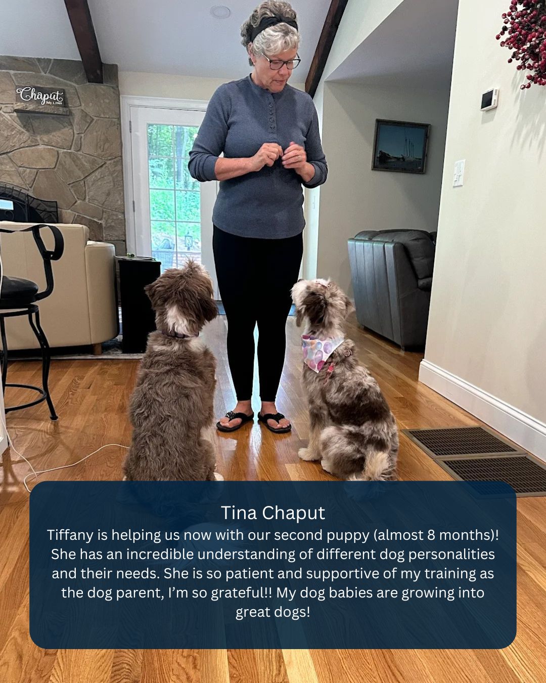 Eloise & Phoebe = ⭐️⭐️⭐️⭐️⭐️ dogs in training 🐶🐾
Tina = total rockstar 💪
Tiffany = trainer goals 🙌

We’re obsessed with watching dogs (and their people) thrive, especially when the teamwork is this good. 🫶

If you’ve got a puppy and want real results, follow us for more success stories like this, and let’s start yours next. 💥

📍 DM us to book your first session!

