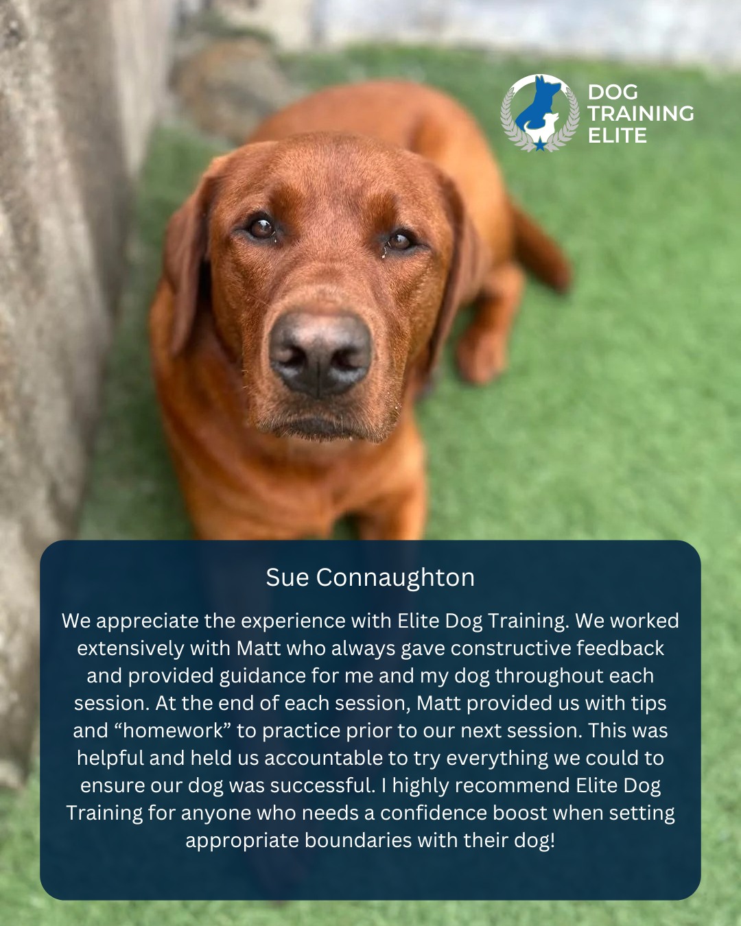Sue put in the work, and it shows! 💪🐾

We’re proud to be a part of her journey and grateful for the kind words. Reviews like these remind us why we do what we do.

Ready for real results with your dog? Tap the link in bio and start training with the pros 🐕✨

