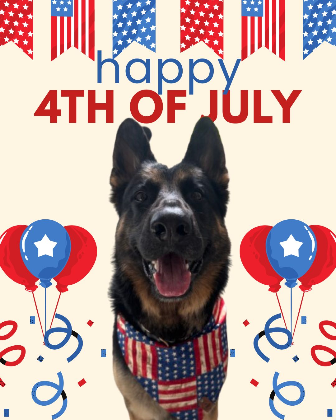 🇺🇸❤️🤍💙 Red, White & WOOF! 🐶✨

Happy 4th of July from One Mission Dog Training! 🎆🐾

Here's to celebrating freedom, making memories, and soaking up every tail-wagging moment. Keep your pup safe, give them extra treats, and remember, not every dog thinks fireworks are the bomb. 🧨💙

Have a pawsome holiday! 🐕🐾


