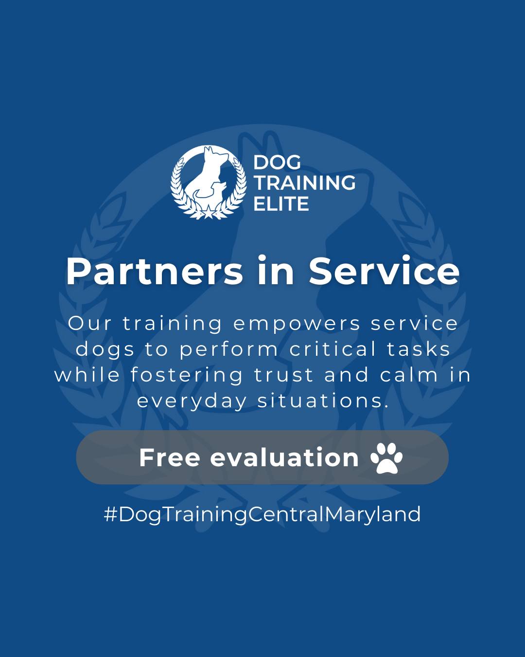 Dog Training Elite Central Maryland understands the unique bond between veterans and their service dogs. 🐾 

Our training empowers these dogs to perform critical tasks while building trust, focus, and calm in everyday life. Every session strengthens confidence and reliability for both dog and handler.

📌 Whether it’s leash manners, obedience, or service training, Dog Training Elite Central Maryland offers personalized programs near Maryland State House helping dogs shine all winter long. Cozy season, confident pups. ✨
 📍 https://maps.app.goo.gl/9YmD89xhkqBNA2Xy5


