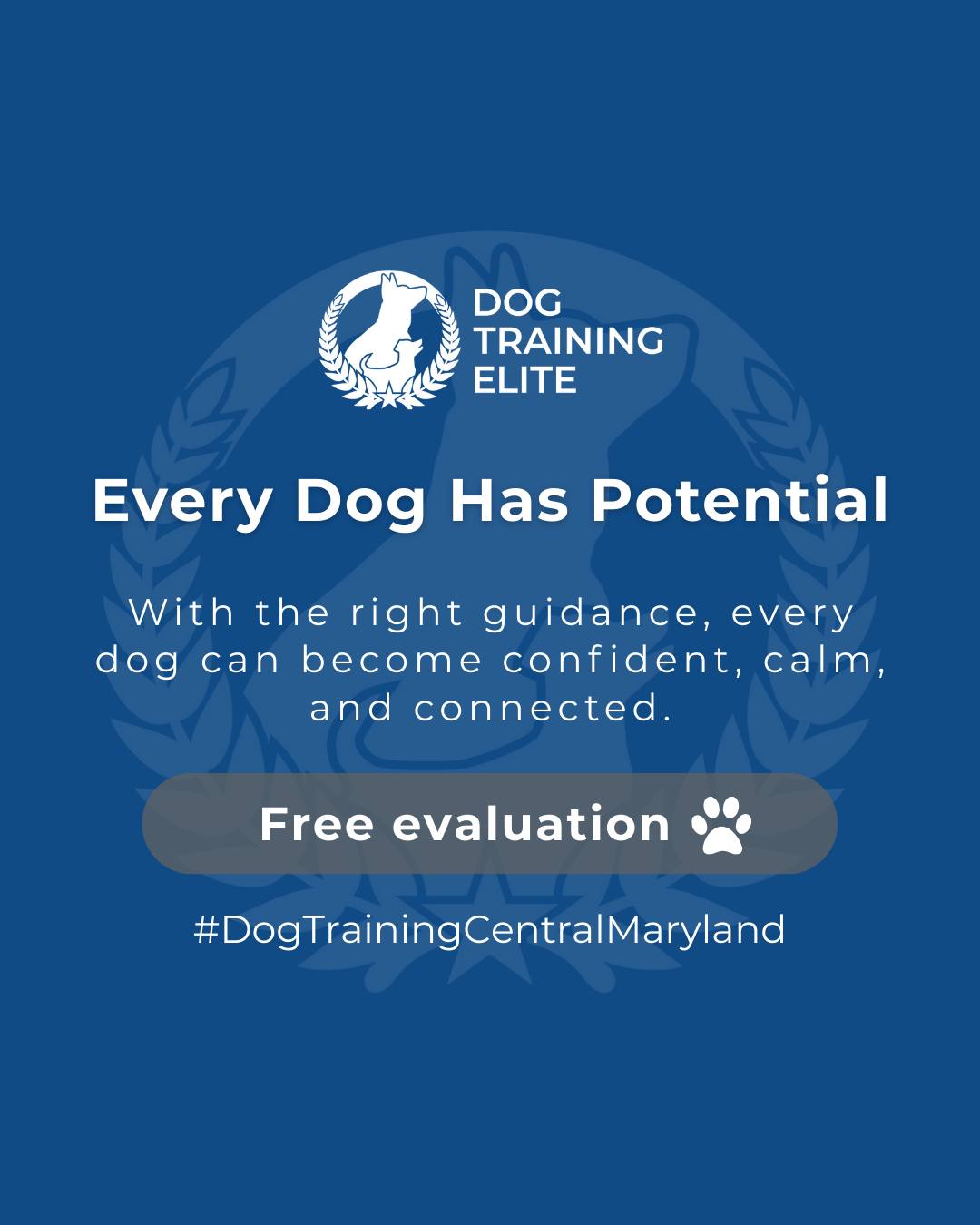 From puppy basics to advanced obedience and service training, every dog can learn to thrive with guidance from Dog Training Elite Annapolis, Columbia, and Ellicott City. 

We help dogs build confidence, focus, and calm behavior, strengthening the bond between you and your best friend.

🎯 From basic obedience to advanced service dog training, Dog Training Elite Central Maryland helps dogs near Annapolis build better behavior and stronger bonds this season. 🐾
 📍 https://maps.app.goo.gl/9YmD89xhkqBNA2Xy5


