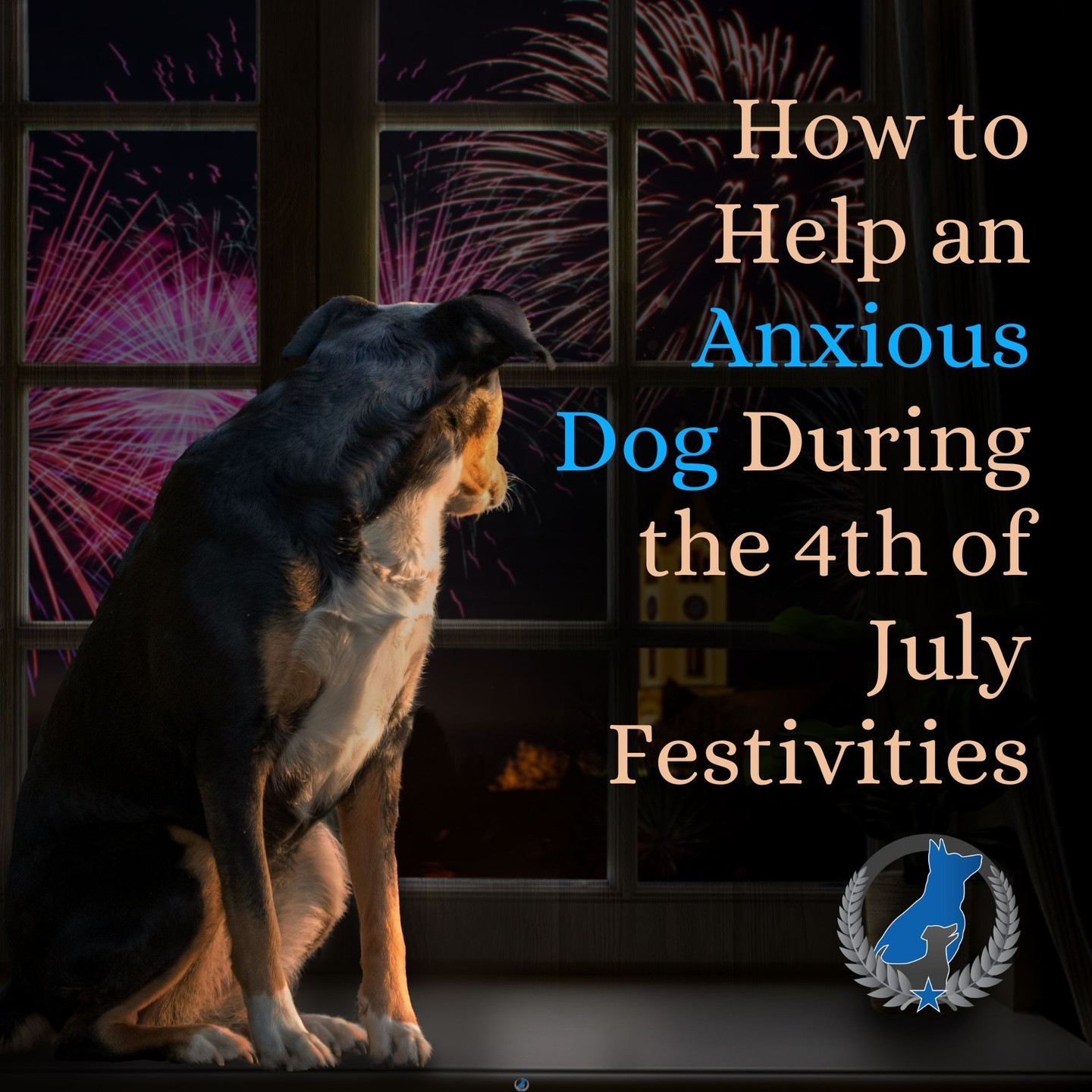 Does your dog deal with fireworks nerves? DTE is here to help with the following tips and tricks for this unintentionally scary holiday!
1. Create a Safe Space: Prepare a quiet, cozy spot in your home where your dog can retreat to. Fill it with their favorite toys, blankets, and perhaps an item that smells like you, such as a shirt, to provide a sense of familiarity and security.
2. Background Noise: Drown out the sound of fireworks by playing some soothing background noise, like classical music or nature sounds. This can help mask the sudden bursts of noise and create a more relaxing environment for your pup.
3. Close the Curtains: Dim the lights and close the curtains to minimize the visual stimulation from the fireworks. This can help reduce your dog's anxiety by blocking out the flashes and bursts of light.
4. Stay Calm and Positive: Dogs are highly perceptive and can pick up on your emotions. Stay calm and act as normally as possible, as your dog will look to you for cues on how to react. Offer reassuring words, gentle strokes, and treats when they exhibit calm behavior.
5. Distraction and Engagement: Engage your dog in activities they enjoy, such as playing games or practicing their favorite tricks. Redirecting their attention to something positive can help shift their focus away from the fireworks.
6. Consult a Vet: If your dog's anxiety is severe or if you've tried various techniques without success, consider reaching out to a veterinarian. They can provide additional advice or recommend anxiety-reducing products or medications if necessary.
Remember, every dog is unique, so it might take some trial and error to find the strategies that work best for your furry friend. Be patient and understanding, and always prioritize their safety and well-being. And if your dog deals with anxiety in general, consult with an expert at Dog Training Elite Central Maryland today for help!