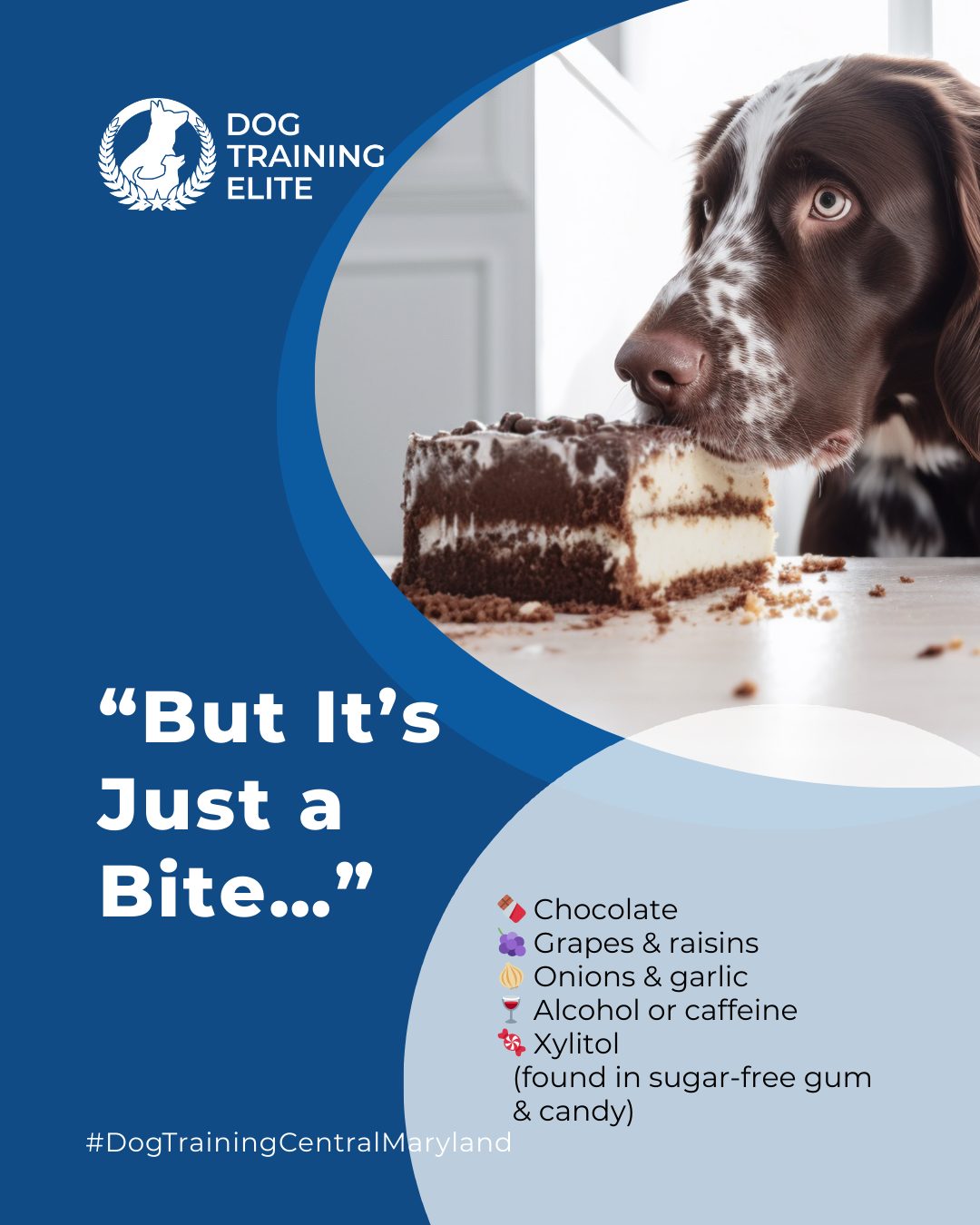 But It’s Just a Bite…” Could Be a Big Problem!

Some human foods can be dangerous—or even deadly, for dogs. Keep these common items off the menu:

 🍫 Chocolate
 🍇 Grapes & raisins
 🧅 Onions & garlic 
 🍷 Alcohol or caffeine
 🍬 Xylitol (found in sugar-free gum & candy)

At Dog Training Elite Central Maryland, we don’t just train obedience—we educate families on how to keep their pups safe at home and in public.

 🎯 From basic obedience and leash manners to advanced service dog training, Dog Training Elite Central Maryland provides professional in-home dog training that helps dogs near Annapolis and beyond become their best selves—right in your backyard. 🐾🏡




