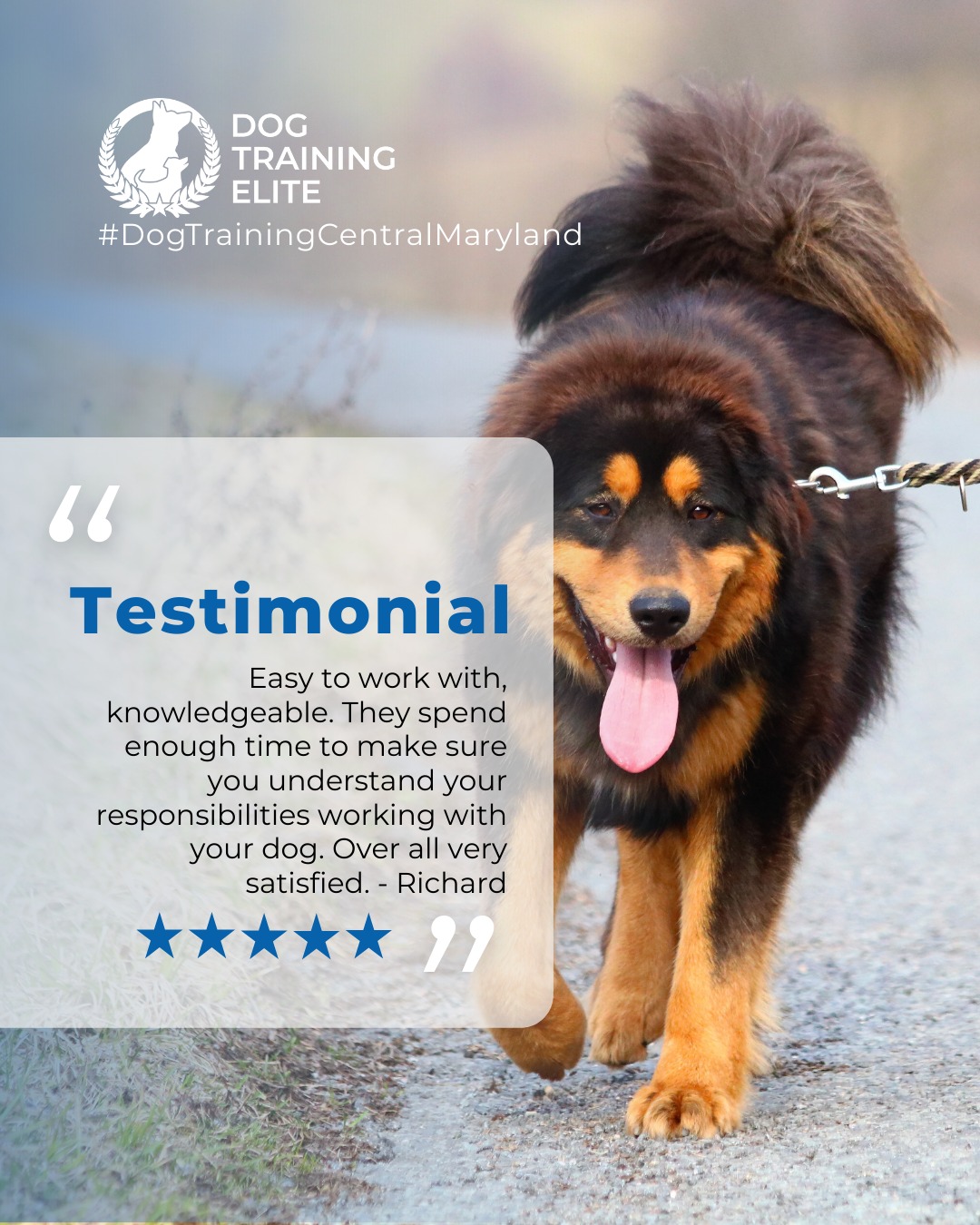 Easy to work with, knowledgeable. They spend enough time to make sure you understand your responsibilities working with your dog. Over all very satisfied. - Richard

There&rsquo;s nothing better than watching a dog, and their owner, gain confidence together. 🐾

Whether it&rsquo;s tackling leash reactivity, mastering obedience, or building trust in busy environments, we love seeing the transformation that happens through consistency and teamwork.
Every success story reminds us why we do what we do. ❤️

💬 Have a story to share about your training experience with Dog Training Elite Annapolis, Columbia, or Ellicott City? We&rsquo;d love to hear it!

 🎯 From basic obedience to advanced service dog training, Dog Training Elite Central Maryland helps dogs near Annapolis build better behavior and stronger bonds this season. 🐾
 📍 https://maps.app.goo.gl/9YmD89xhkqBNA2Xy5


