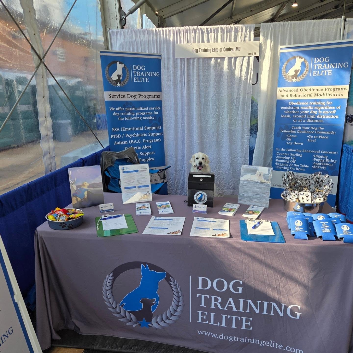 Teaching your first mate some nautical manners! 🐾⚓️
​Whether you need a calm pup on the docks or a fully trained adventure buddy aboard, Dog Training Elite of Central MD has you covered.
​Stop by our booth at the Annapolis Powerboat Show this weekend! Grab some free swag, say hi to our team, and let&rsquo;s chat about getting your pup shipshape. 🌊🚤
​📍 Annapolis Powerboat Show
🔗 Link in bio to learn more about our training programs!
​.
.
