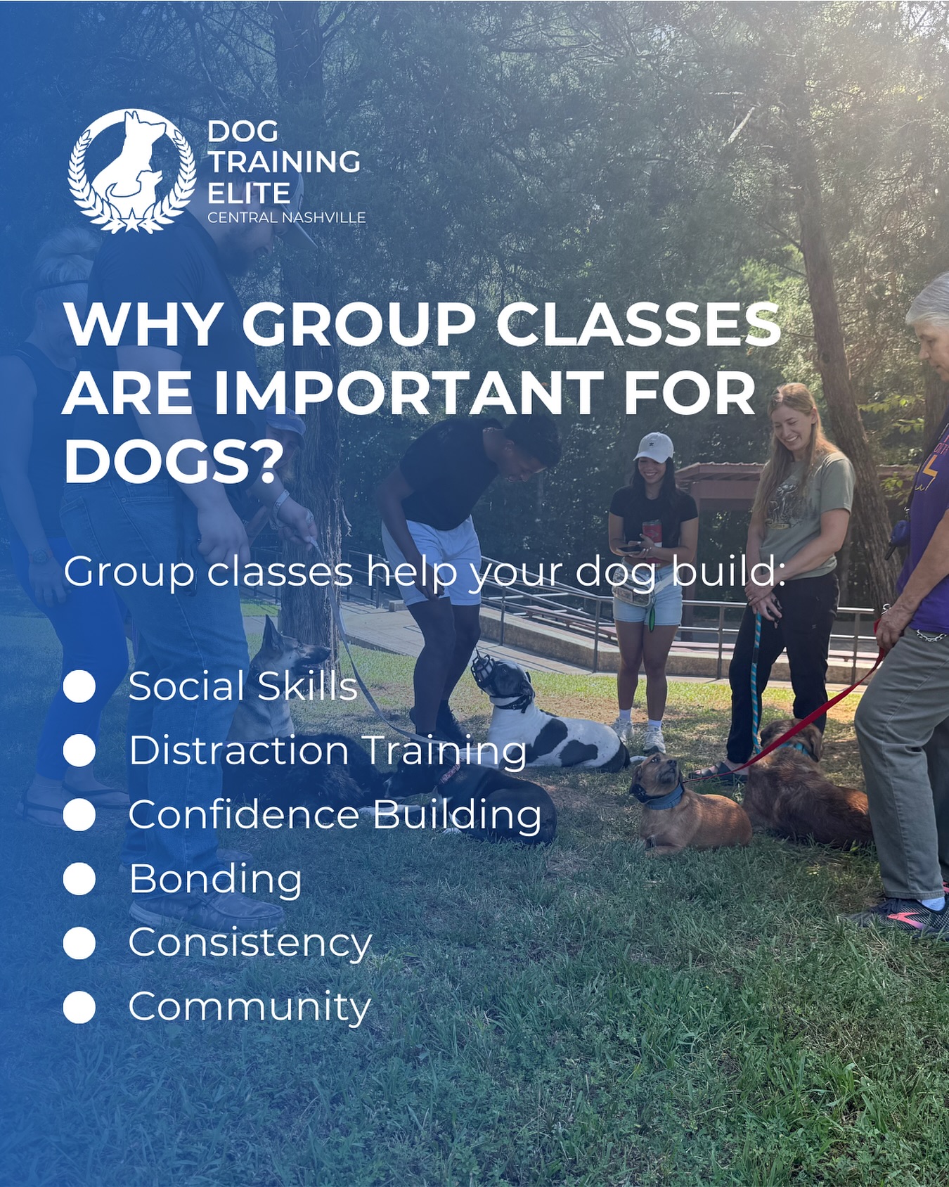 🐾 Why are group classes so important for dogs?

Because real life is full of distractions, new people, and other dogs. Group classes give your pup the chance to practice obedience, build focus, and learn to stay calm in a safe social environment.

The best part is that you also grow more confident as a handler, knowing your dog can listen and behave no matter what is happening around them.

📞 Call us today at 615 314 8514 to book your FREE in home evaluation and experience the difference training can make!

