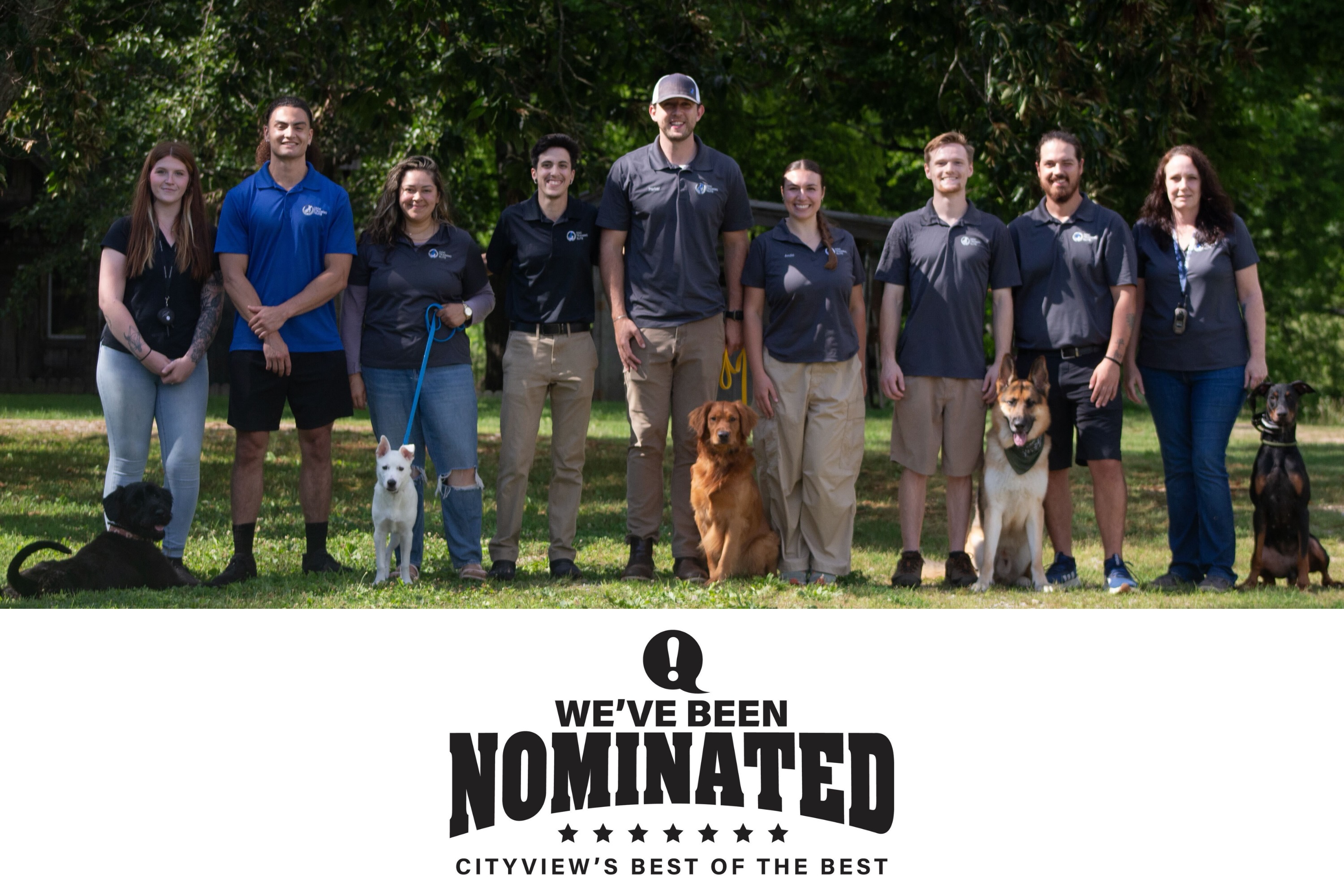 🎉 WE&rsquo;VE BEEN NOMINATED! 🎉

We are SO excited to share that Dog Training Elite Knoxville has been nominated for Cityview&rsquo;s Best of the Best! 🐾🏆

Our team works hard every day to help dogs and their families build better communication, confidence, and lasting relationships&mdash;and this nomination means so much to us!

If you&rsquo;ve had a great experience with our team, we&rsquo;d absolutely love your vote! 💙

👉 Vote here:
Vote for Dog Training Elite Knoxville⁠
Thank you to every client, dog, and family who has trusted us along the way. We couldn&rsquo;t do this without you! 🐶💙

KnoxvilleDogs WeveBeenNominated