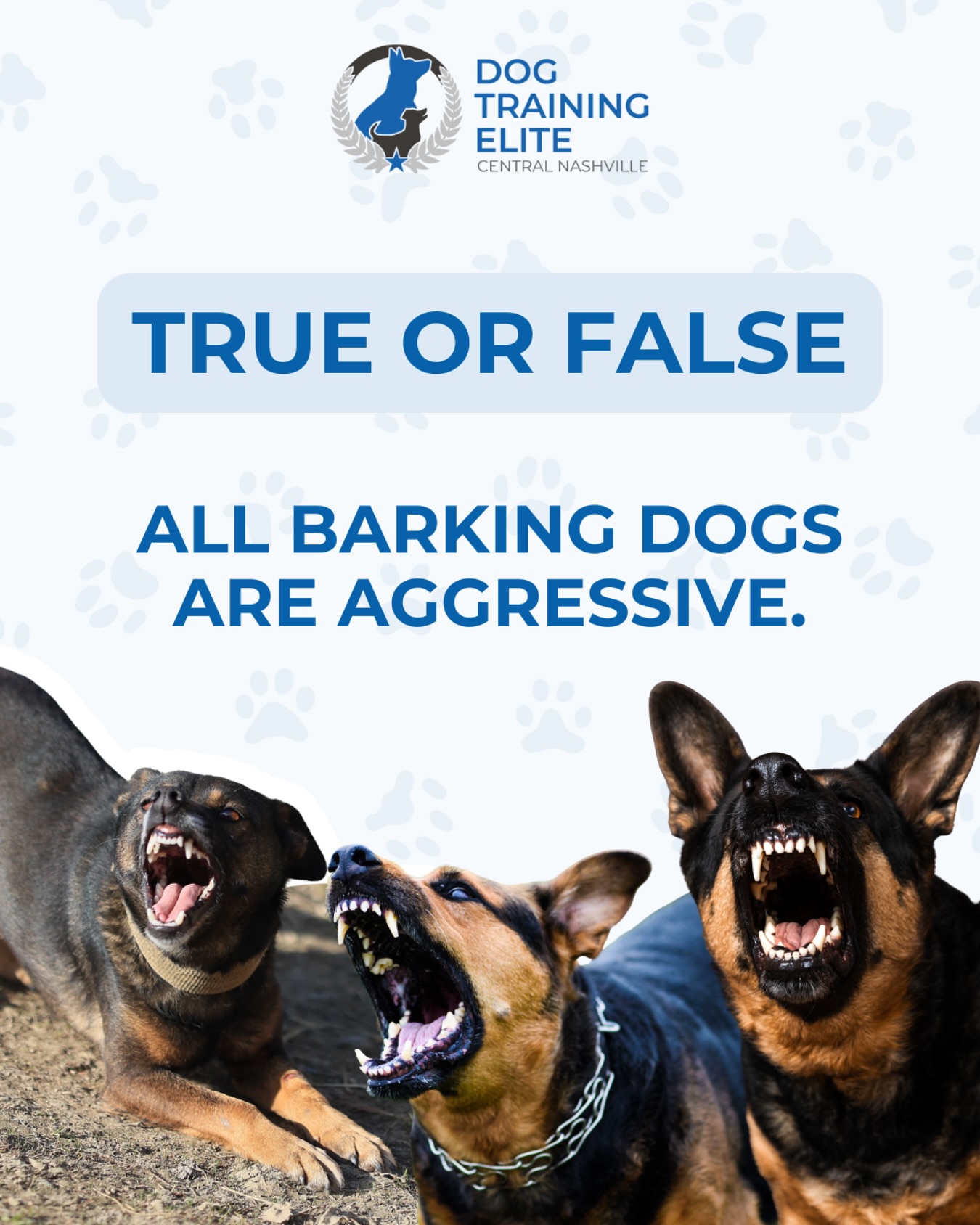 ❌ FALSE.
Not all barking or growling means your dog is aggressive. Many times, it’s fear, insecurity, or simply being unsure. With the right training, we help your dog build trust and confidence 🐶💙

📲 Call us at 615-314-8514 today for a FREE in-home evaluation!

