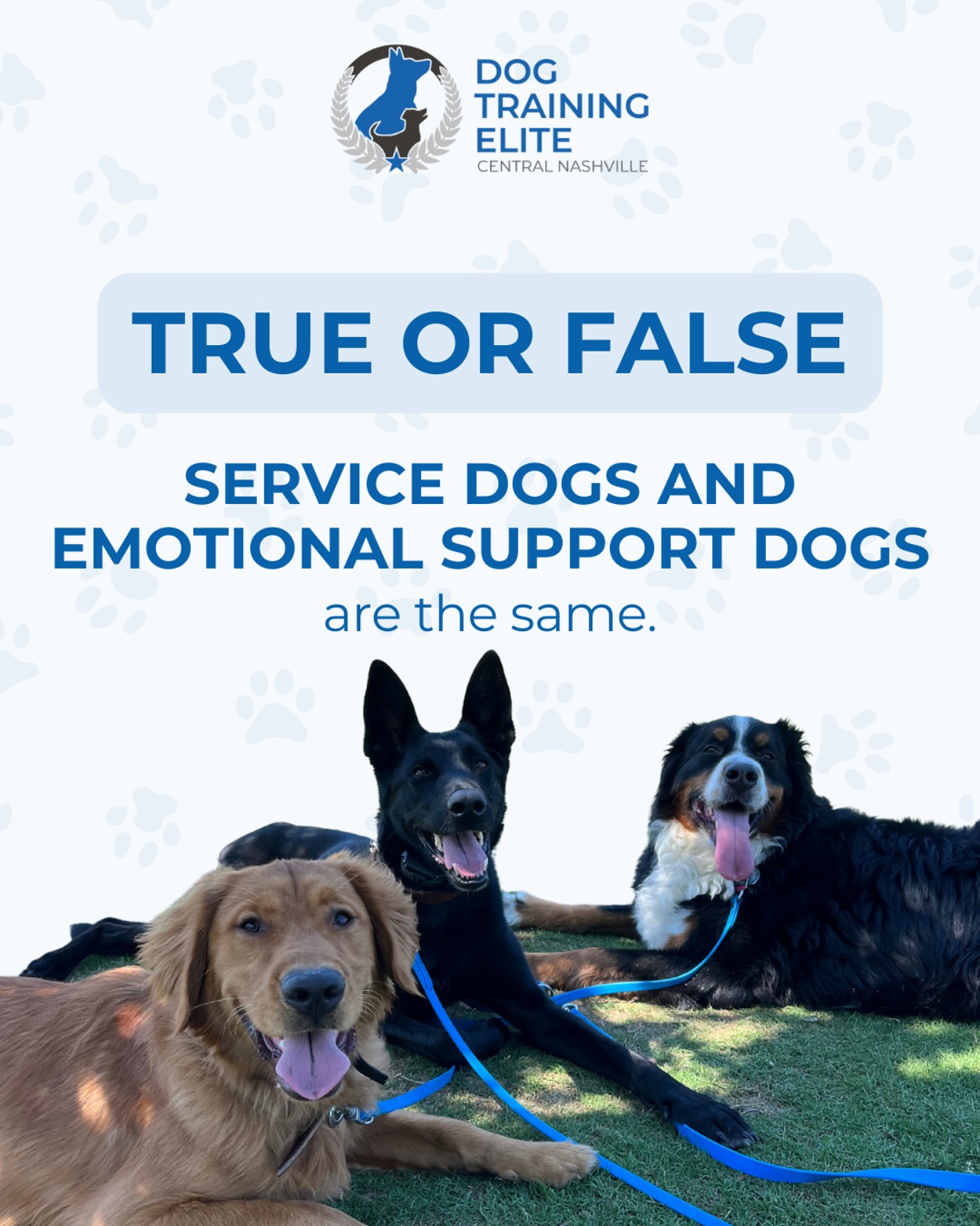 ❌ FALSE.

Service dogs are trained for specific tasks such as guiding the blind, detecting seizures, or supporting veterans with PTSD. They are legally protected under the ADA (Americans with Disabilities Act), which means they can accompany their handler in most public places.

Emotional Support Animals (ESAs) provide comfort through companionship, but they are not task-trained and do not have the same public access rights as service dogs.

💡 Knowing the difference helps families set the right expectations and ensures dogs are placed in roles they can truly succeed in.

📞 Want to learn more about service dog training in Nashville? Call us today at 615-314-8514 for your free in-home evaluation

