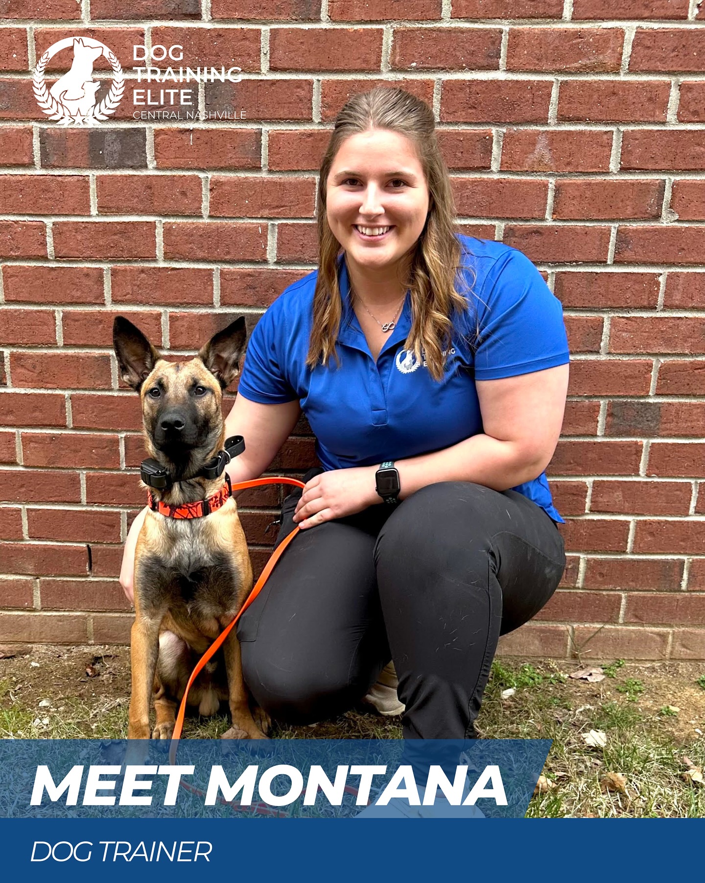 Meet Montana 🐾 One of our amazing trainers here at Dog Training Elite Central Nashville!
Montana brings incredible patience and energy to every session, helping dogs and their families build confidence, communication, and trust. 💙 From puppies learning their first commands to dogs mastering advanced obedience, Montana makes training fun and rewarding for everyone.

📞 Call us today at 615-314-8514 to schedule your free in-home evaluation!
🌐 dogtrainingelite.com/nashville

