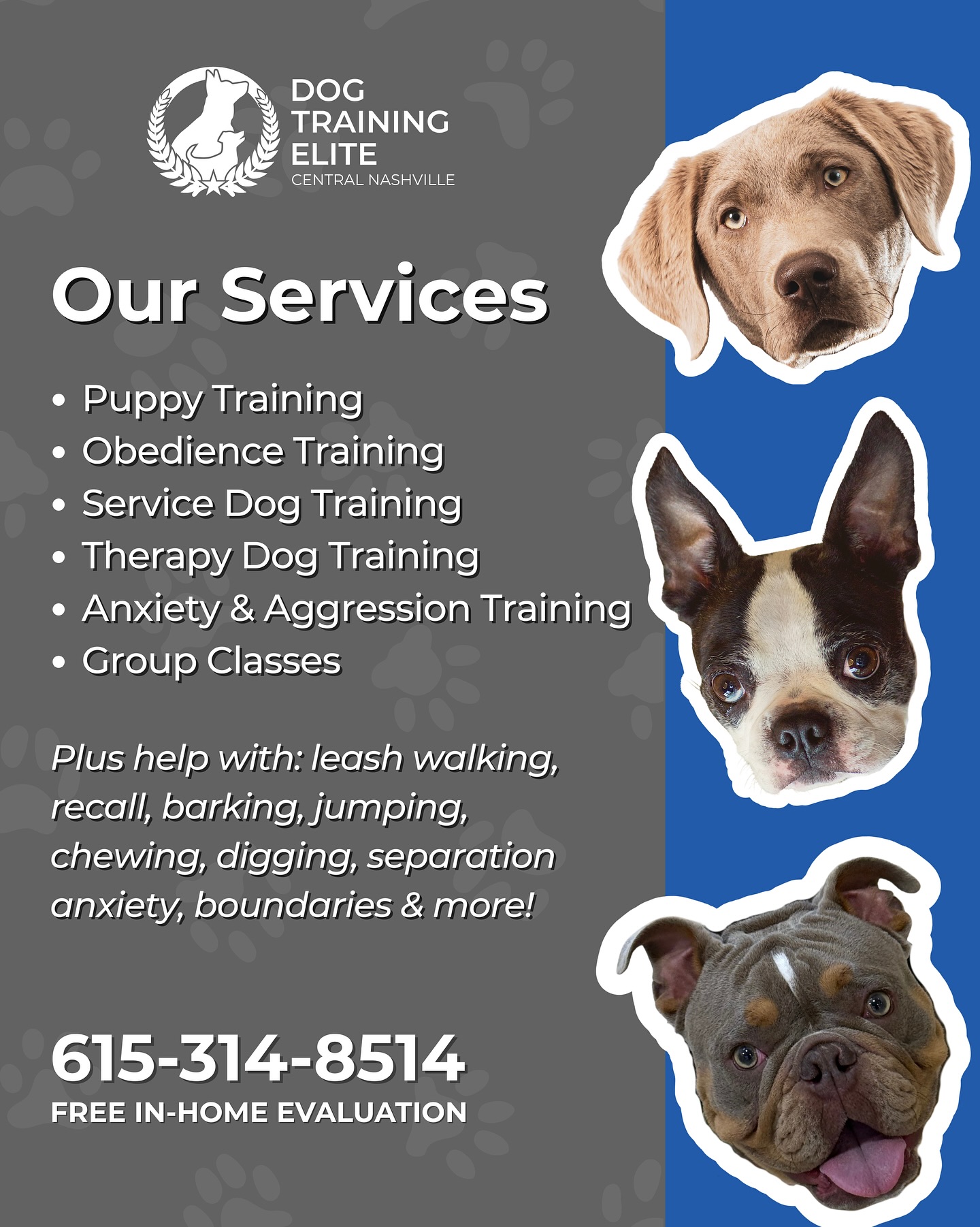 🐾 Ready for a well-mannered, confident pup?
Dog Training Elite Central Nashville offers:

✨ Puppy Training
✨ Obedience Training
✨ Service Dog Training
✨ Therapy Dog Training
✨ Anxiety & Aggression Training
✨ Group Classes

We also help with leash walking, recall, barking, jumping, separation anxiety, and so much more.

Let’s help your dog become the best version of themselves 💙
📞 Call us today at 615-314-8514 to book your FREE in-home evaluation.


