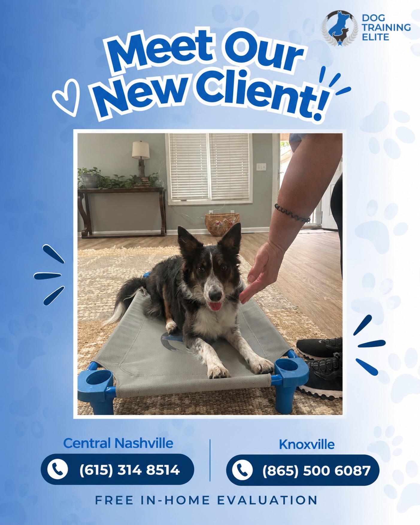 Meet our new client, Willow! 🐾💙

Willow is officially part of the DTE family, and we&rsquo;re so excited to have this sweet pup with us! We can&rsquo;t wait to share Willow&rsquo;s training journey and all the progress along the way. 🐶

Ready to start your dog&rsquo;s training journey? Schedule a FREE in-home evaluation today!

📍 Central Nashville: (615) 314 8514
📍 Knoxville: (865) 500 6087

