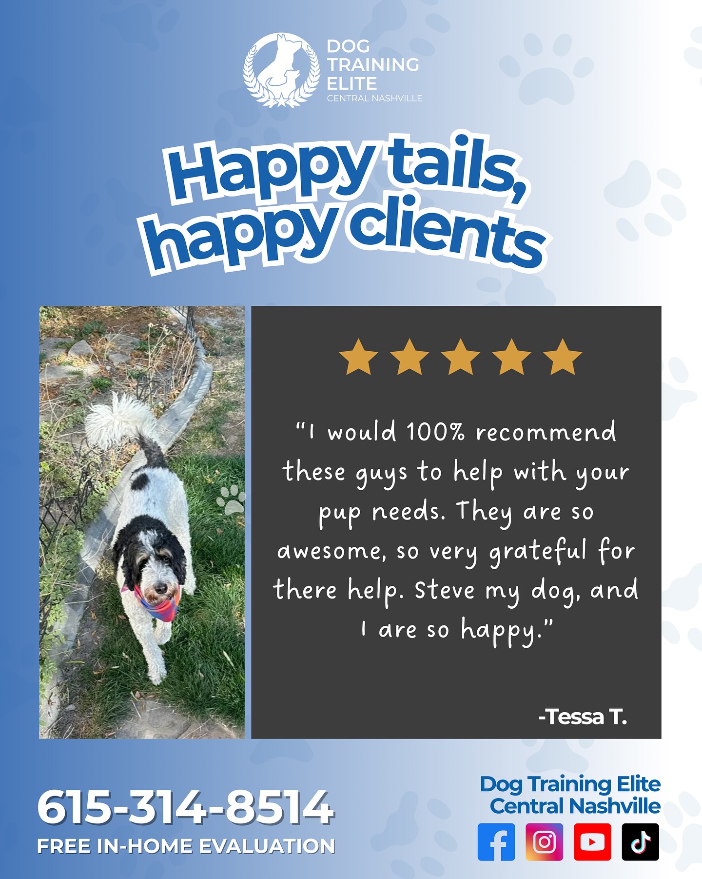We’re so thankful for amazing clients like Tessa and her pup Steve! Hearing how much happier and calmer your dogs become after training truly makes what we do so rewarding.

If you’re ready to transform your dog’s behavior and build a stronger bond, give us a call today!

📞 615-314-8514
🌐 https://dogtrainingelite.com/nashville

