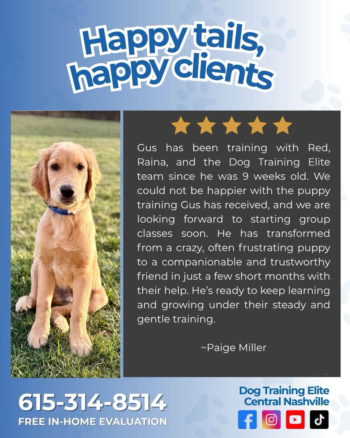 Watching Gus grow has been such a joy 💙🐾

Since starting training at just 9 weeks old, Gus has made incredible progress with the help of Red, Raina, and the Dog Training Elite team. In just a few short months, he has gone from a wild and often frustrating puppy to a more calm, trustworthy, and enjoyable companion.

Moments like this are exactly why we do what we do. Helping dogs grow with steady, gentle guidance while giving families the confidence and support they need along the way.

We&rsquo;re so proud of Gus and can&rsquo;t wait to see him continue learning and thriving in group classes soon.

If your puppy is full of energy and you&rsquo;re ready to build better behavior from the start, we&rsquo;d love to help.

📞 Call or text 615-314-8514 to schedule your FREE ASSESSMENT
📍 Serving Nashville & surrounding areas

