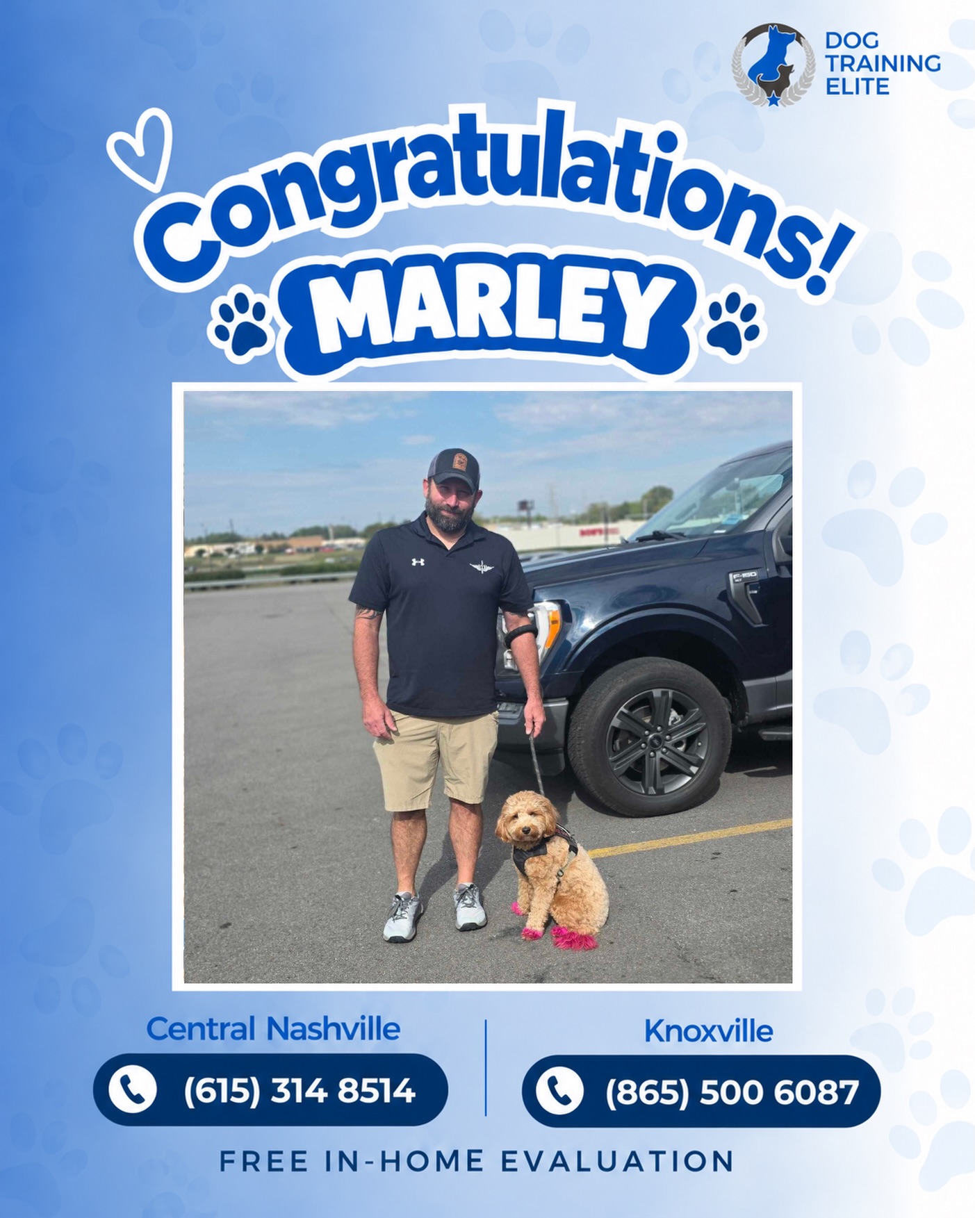Big congratulations to Robert and Marley for passing their Public Access Test (PAT)! 💙🤍

This test shows how well a dog can stay calm, follow commands, and remain focused around people, other dogs, and everyday distractions in public places.

All that hard work and practice paid off! We're so proud of how far Robert and Marley have come together! 🐾

