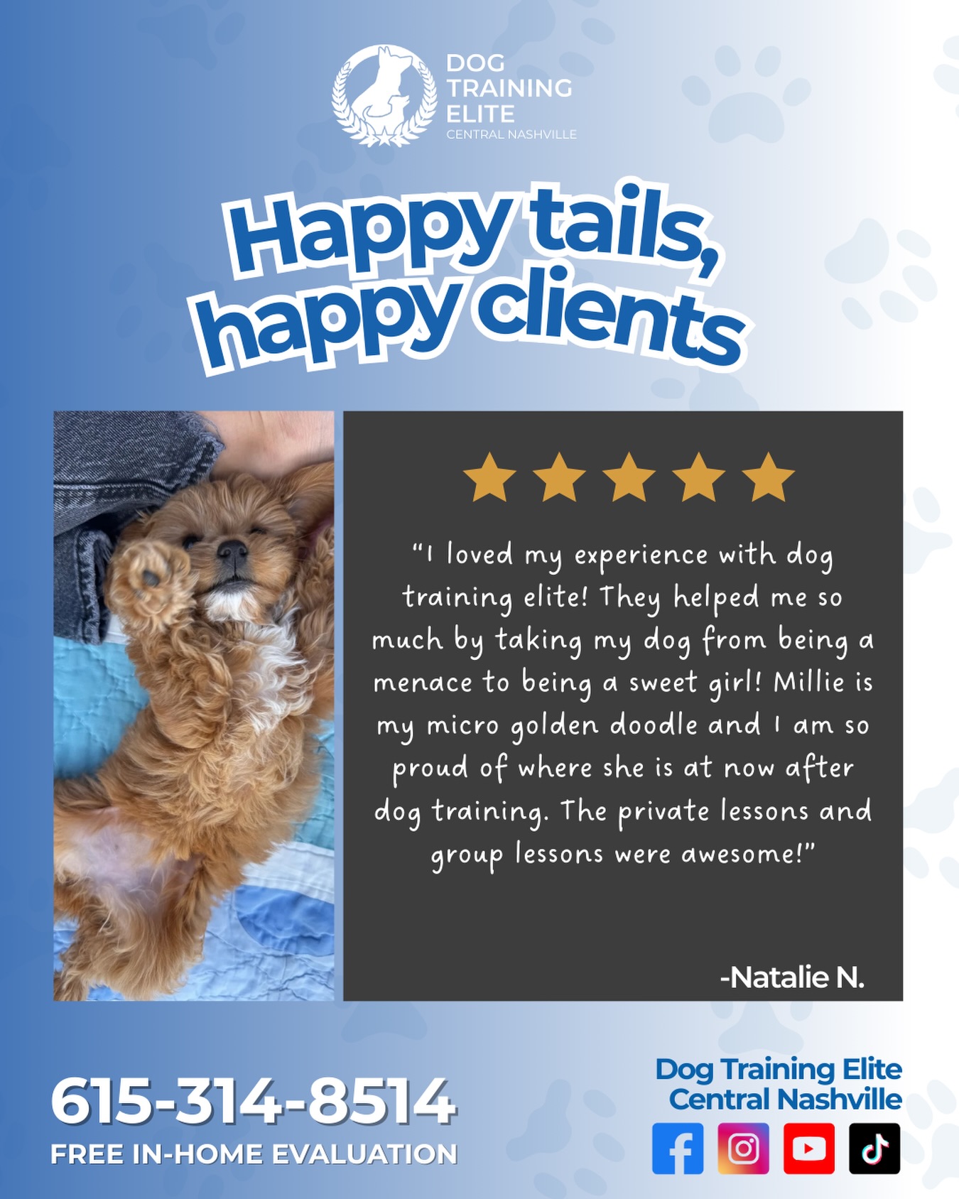 Thank you so much to Millie&rsquo;s family for trusting Dog Training Elite Central Nashville with her training journey. 🐾💙

And a huge shoutout to Millie for being such a cooperative, hardworking girl in both private lessons and group class. We&rsquo;re so proud of you, sweet Millie! ✨

Want results like Millie&rsquo;s? Contact us today for a FREE evaluation. Call 615-314-8514 📲

puppytraining doodledog goldendoodle microgoldendoodle leashtraining dogbehavior dogmanners dogowners nashville tennessee dogsofnashville dogsofinstagram happydog trainingworks freedogevaluation
