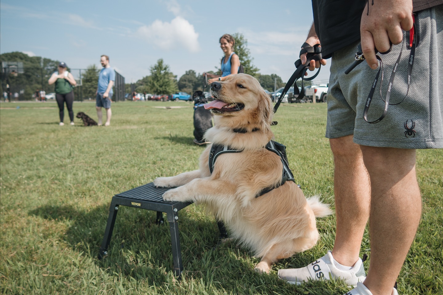 When it’s towards the end of group class and it’s hot outside…Dakota gives her best but she’s not a fan of the sun☀️

Does your dog choose to sunbathe or seek out the shade?🤔

.
.
.
.

