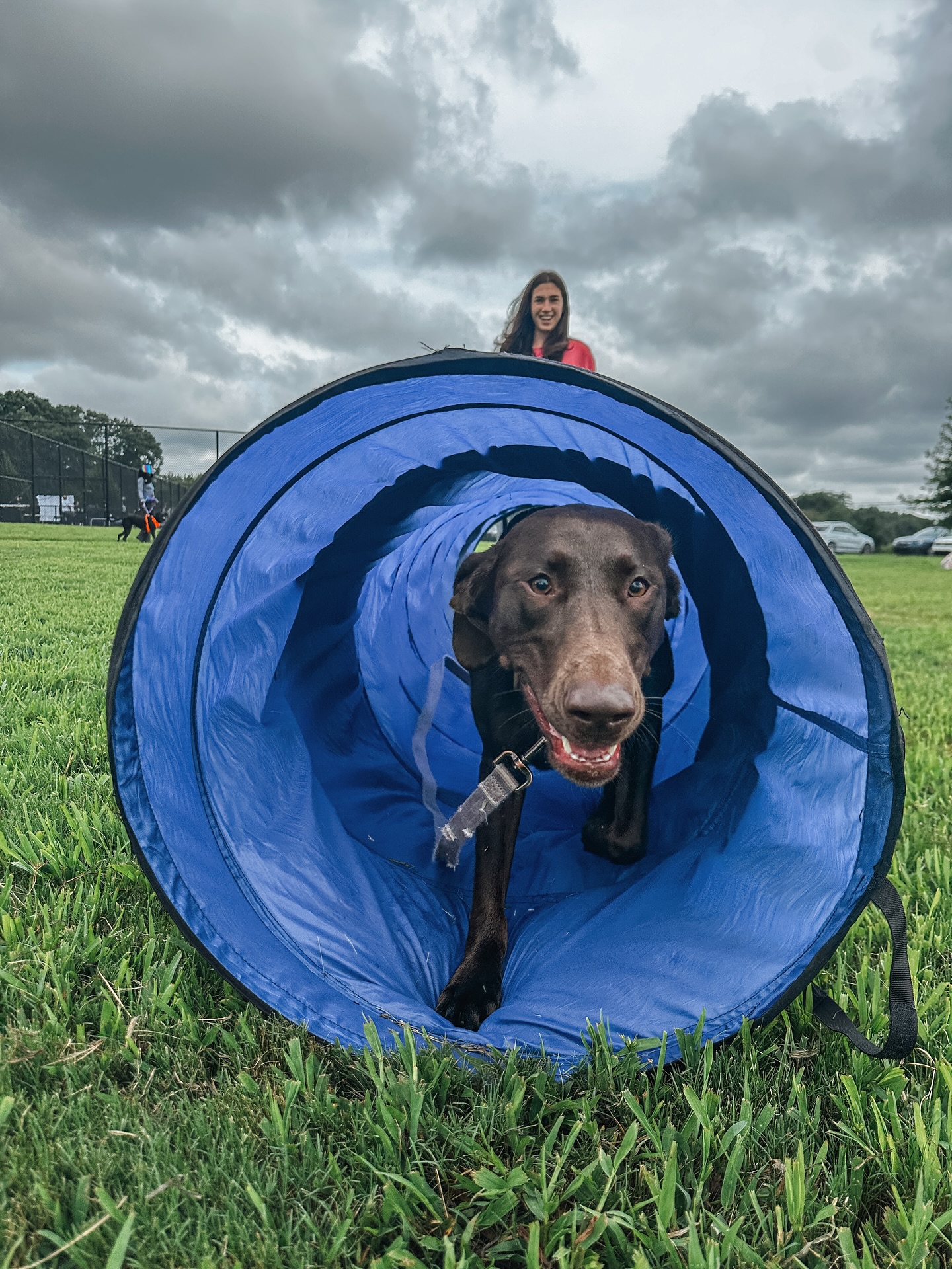 Your weekly reminder that we do have group class this weened 8/30! Hopefully another nice day on Saturday so come on out!🐶

.
.
.
.

