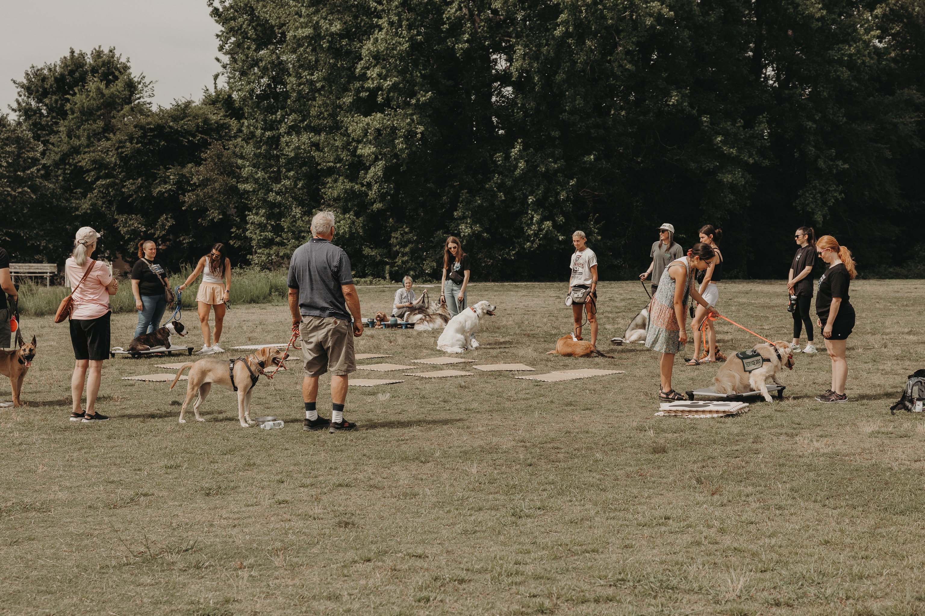 Hey guys!👋

Reminder that there is no group class this Saturday, 6/13! Just because there&rsquo;s no group class doesn&rsquo;t mean we can&rsquo;t work with our dogs. Share to us what you guys work on and if you go out in an adventure this weekend instead!🐶

.
.
.
.

