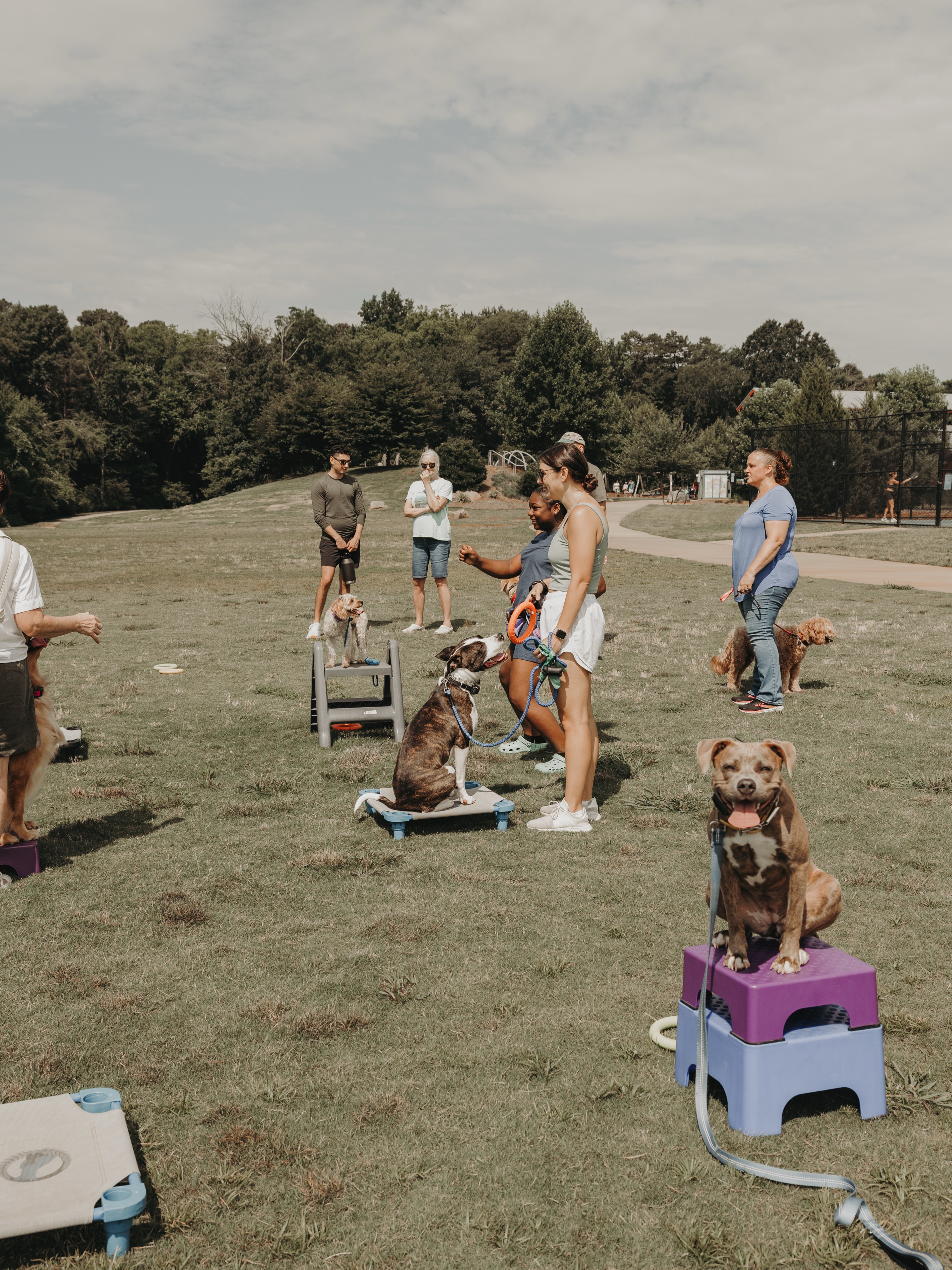 Group class this Saturday 7/25! Who&rsquo;s in?🙋&zwj;♀️

.
.
.
.

