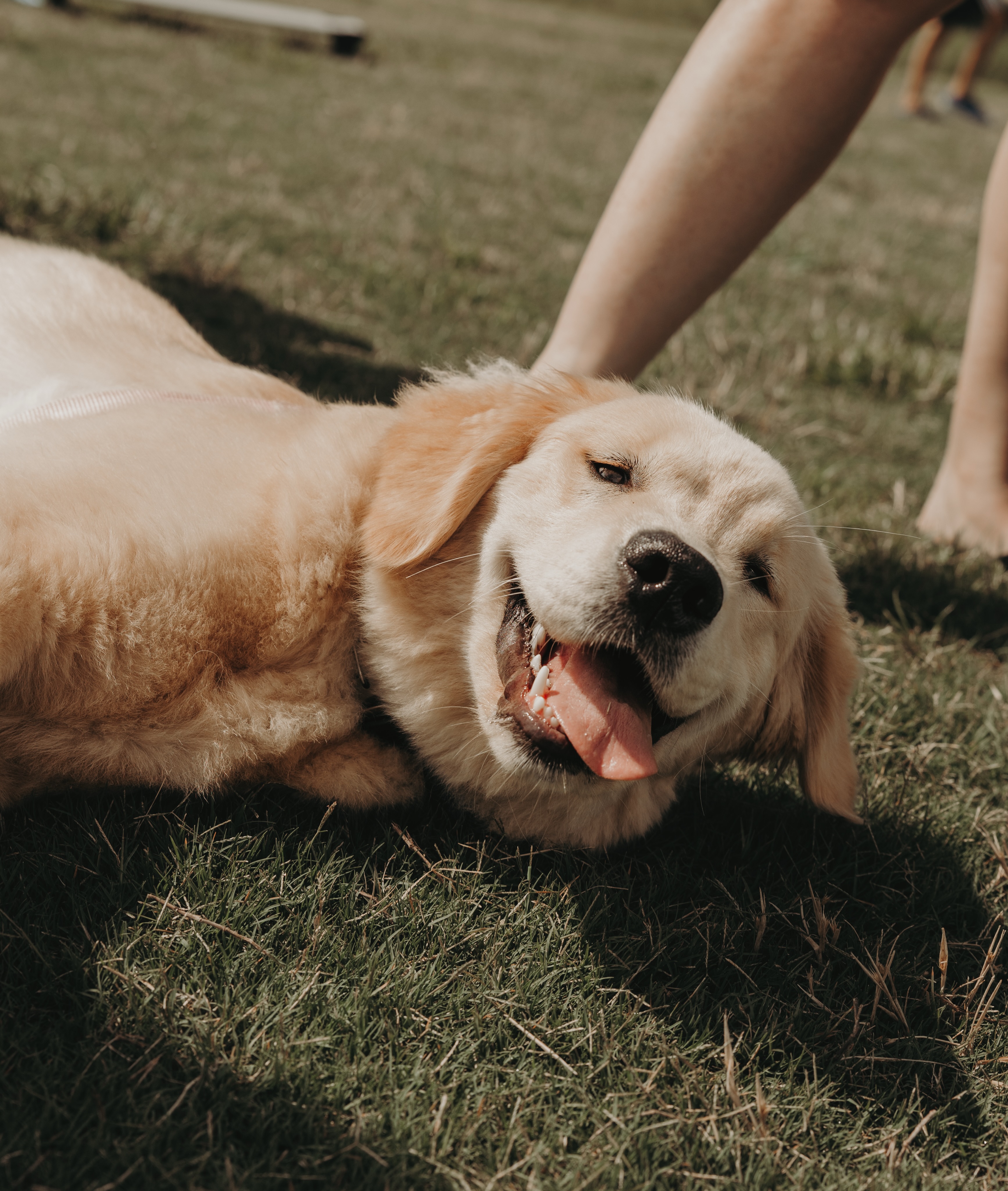 Sun&rsquo;s out, tongues out ☀️🤪

.
.
.
.

