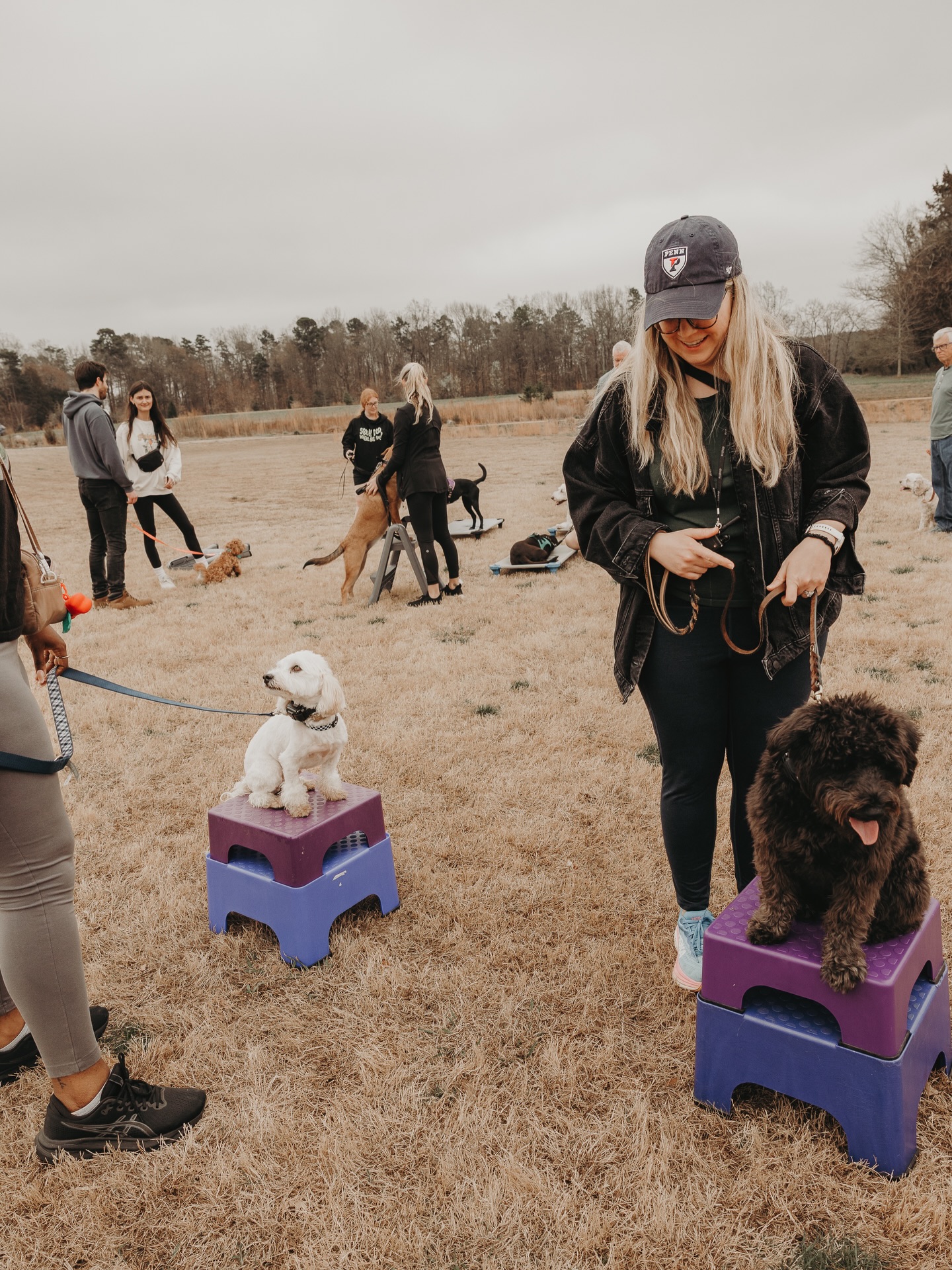 Group class at Clark&rsquo;s Creek this weekend, who&rsquo;s in?🙋&zwj;♀️

Make sure you are signed up via the link or message our office!🐶

.
.
.
.

