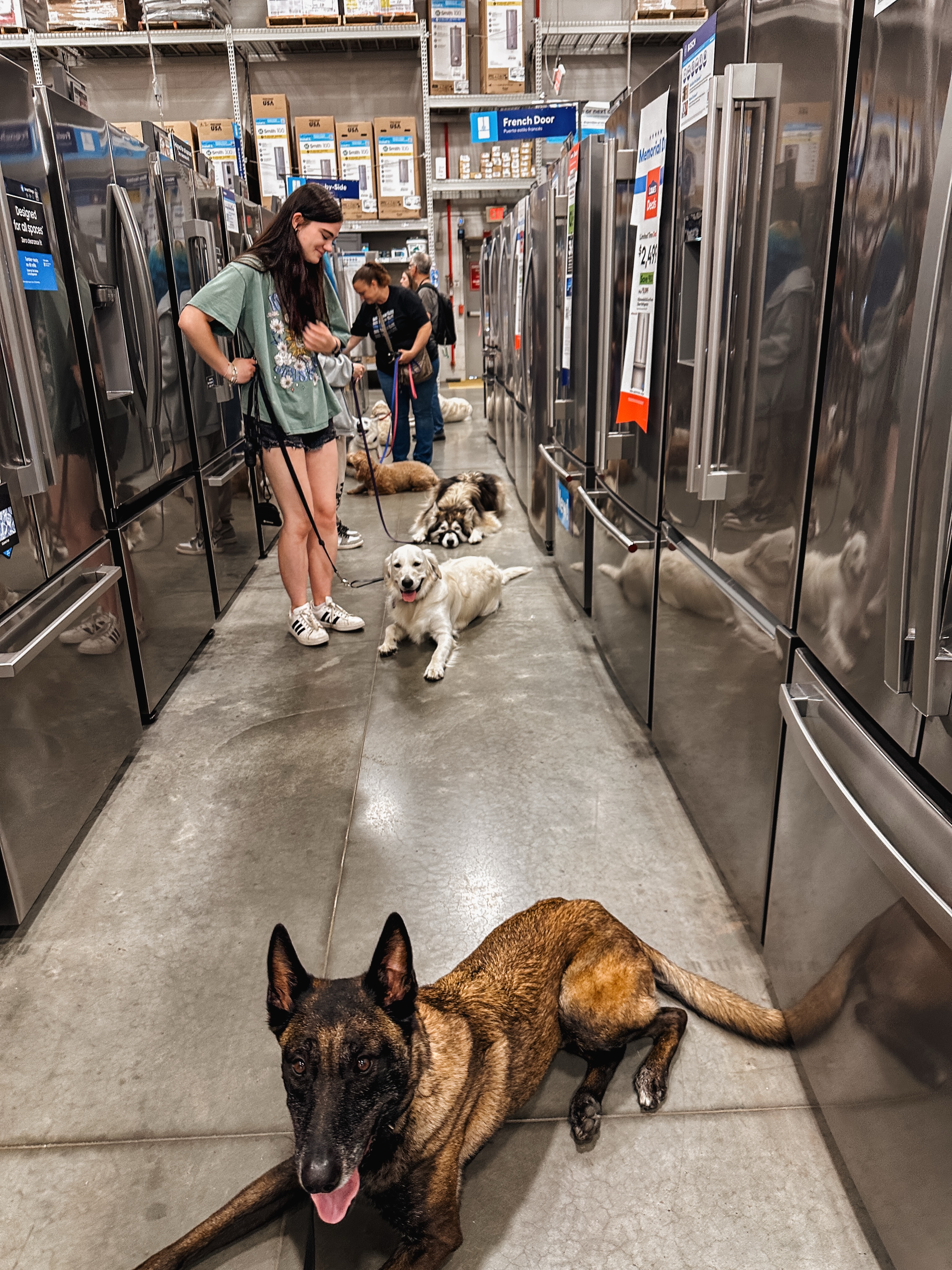Does your dog need something to do but it&rsquo;s too hot to do anything outside? Go to a pet friendly store! It&rsquo;s a great time to work your dog around distractions and enjoy some ac👀😂

.
.
.
.

