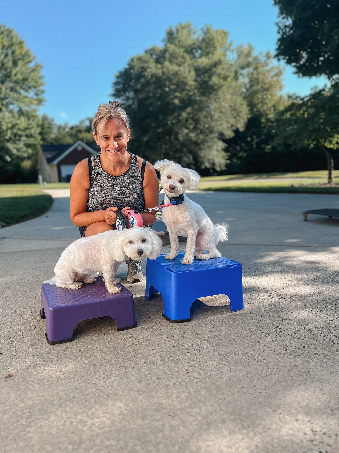 Violet & Lolly at the end of their “place” session!👏🏼

Did you know that during our “place” sessions we not only teach the command but we also practice advanced “place” which helps build confidence in the pups!🐶

.
.
.
.

