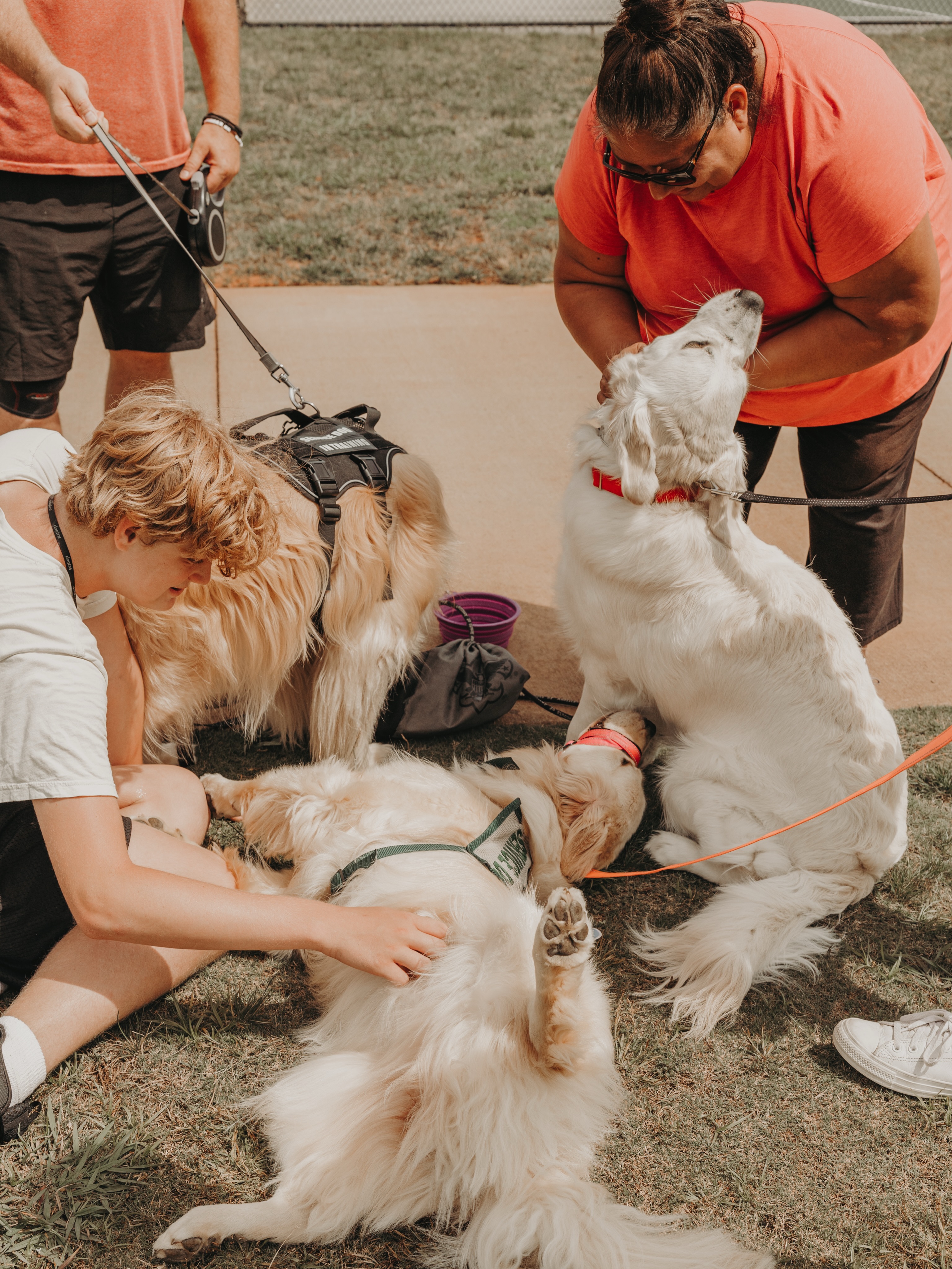 Golden swap at the end of group class last weekend!🥰

To know a golden is to love a golden, even when they aren&rsquo;t your own. These 3 will be friends with whoever wants to pet them!🐾

.
.
.
.

