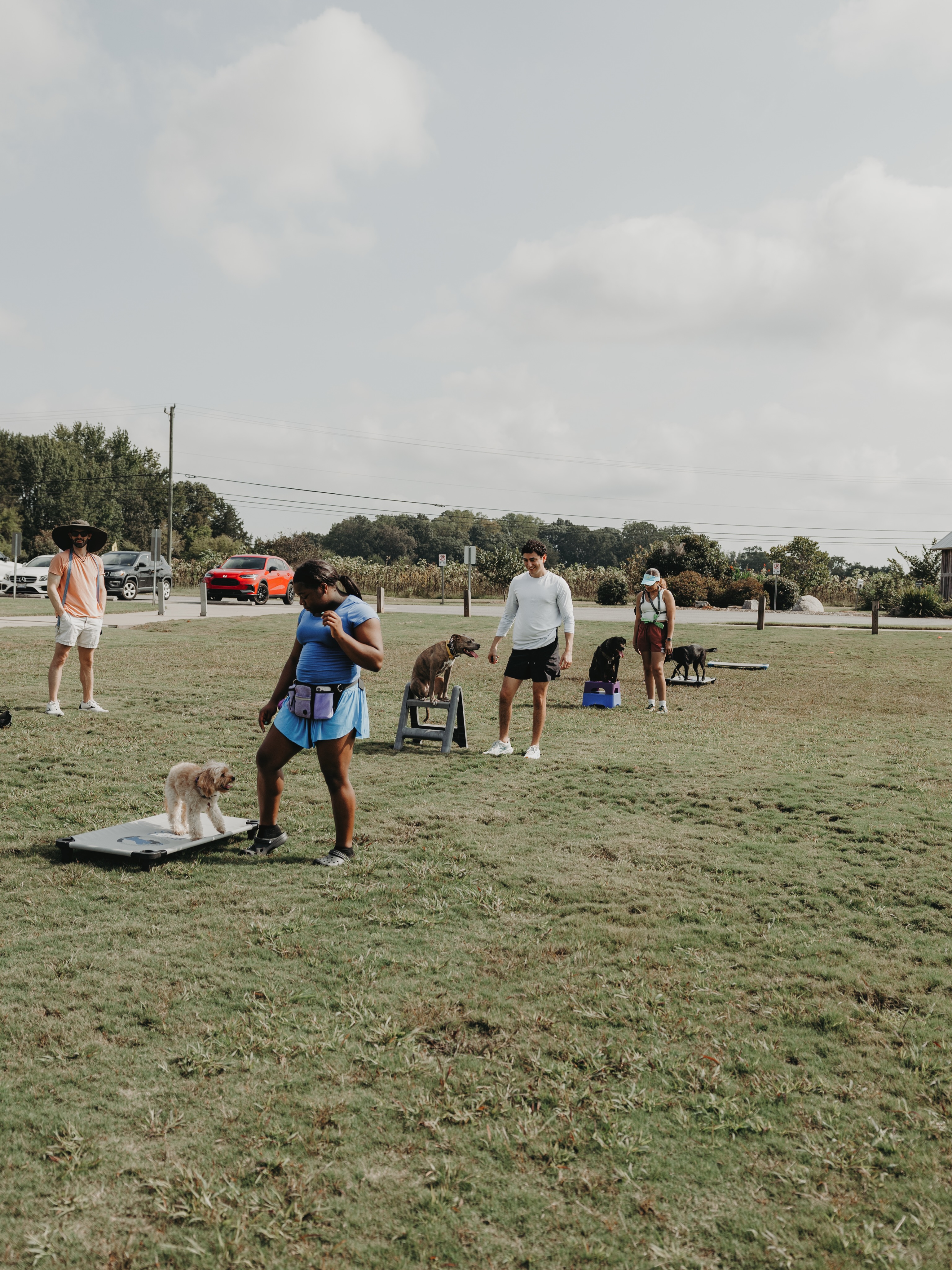 Your weekly reminder that we do have group class this Saturday, 9/26!🤪

It should be a nice day so bring your dog out for some fun and enjoy the nice weather!🍂

.
.
.
.

