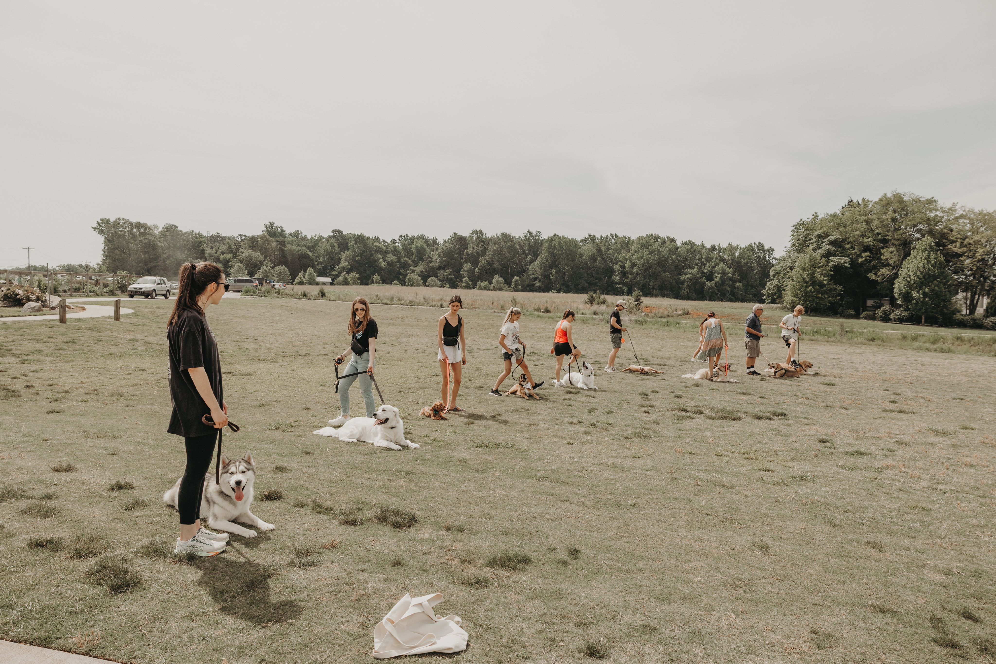 Group class is back this weekend 6/20! See you and your doggo on Saturday!🥰

*Make sure you are signed up via online or by messaging our office

.
.
.
.

