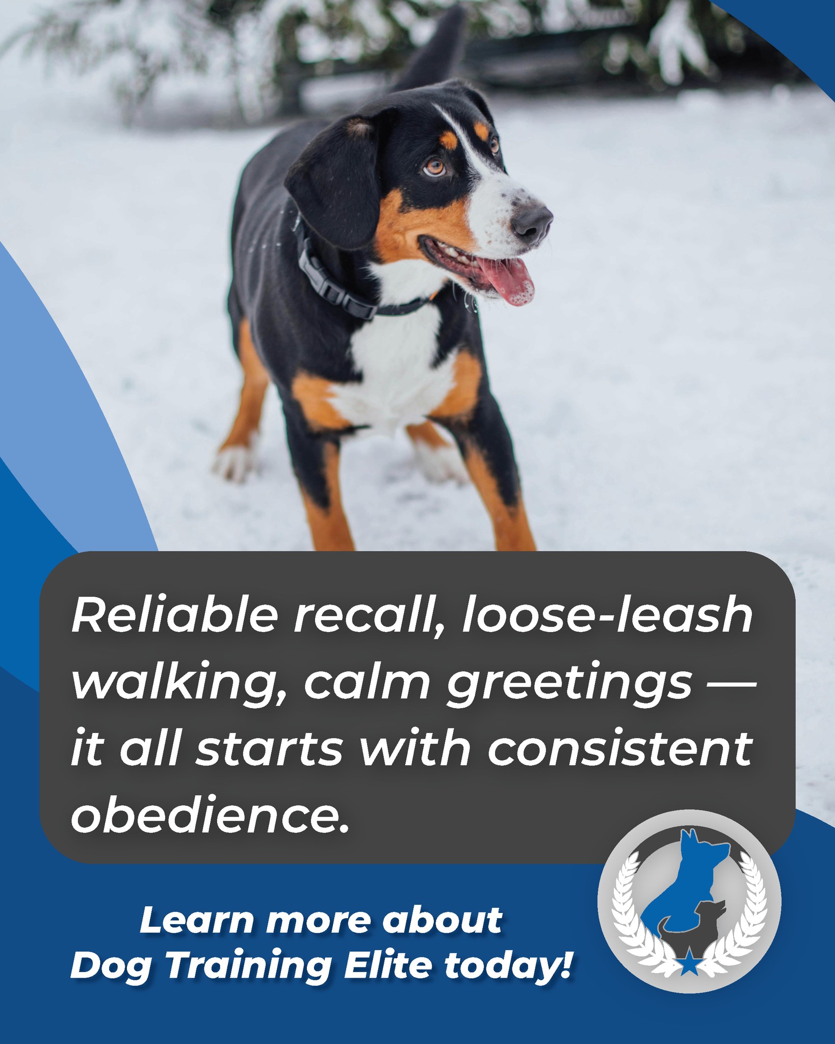 From chaos to calm&mdash;your dog&rsquo;s transformation starts today. 💙🐾
📞 224-335-9383 | dogtrainingelite.com/chicago &mdash; FREE evaluation!